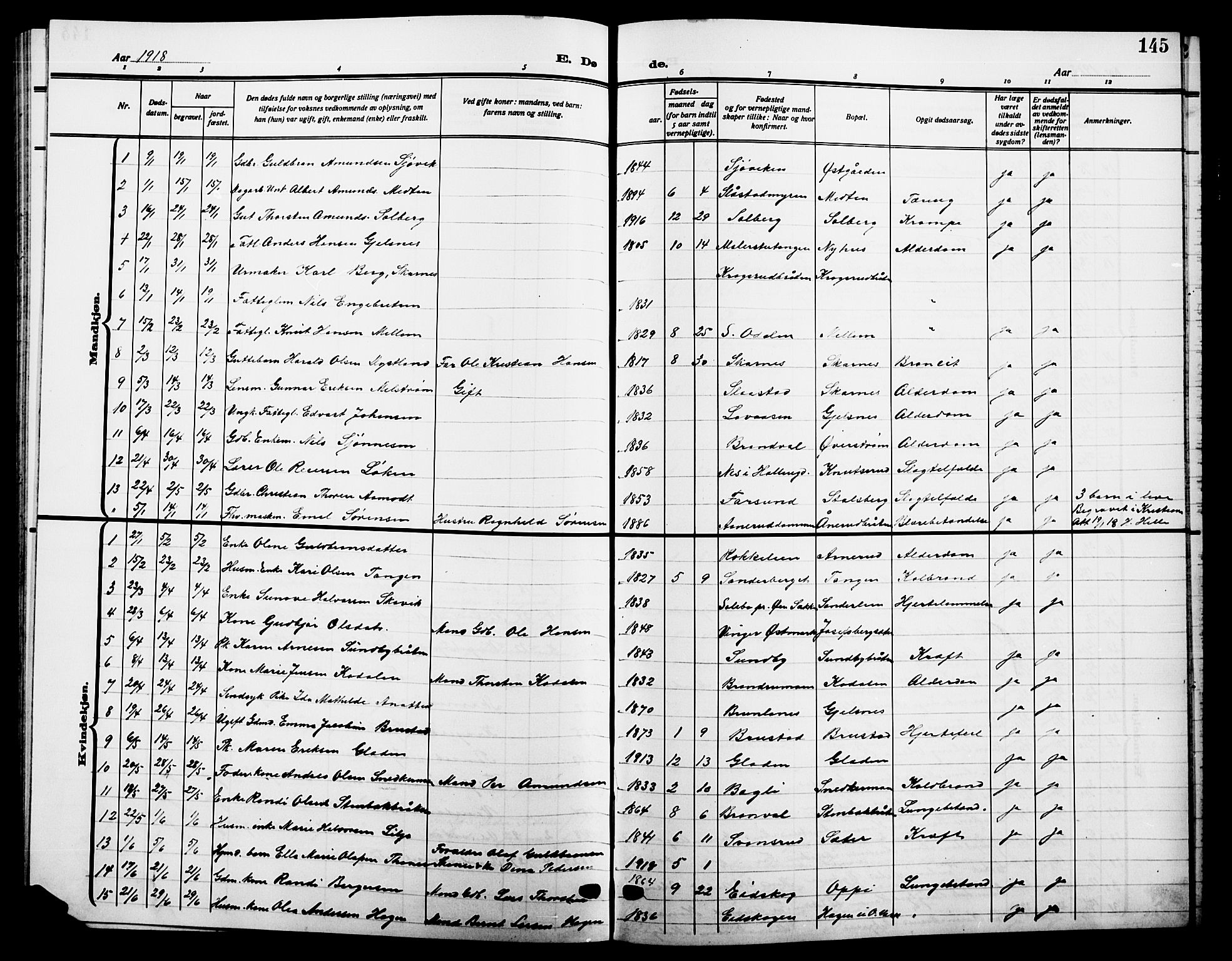 Sør-Odal prestekontor, AV/SAH-PREST-030/H/Ha/Hab/L0008: Parish register (copy) no. 8, 1913-1923, p. 145