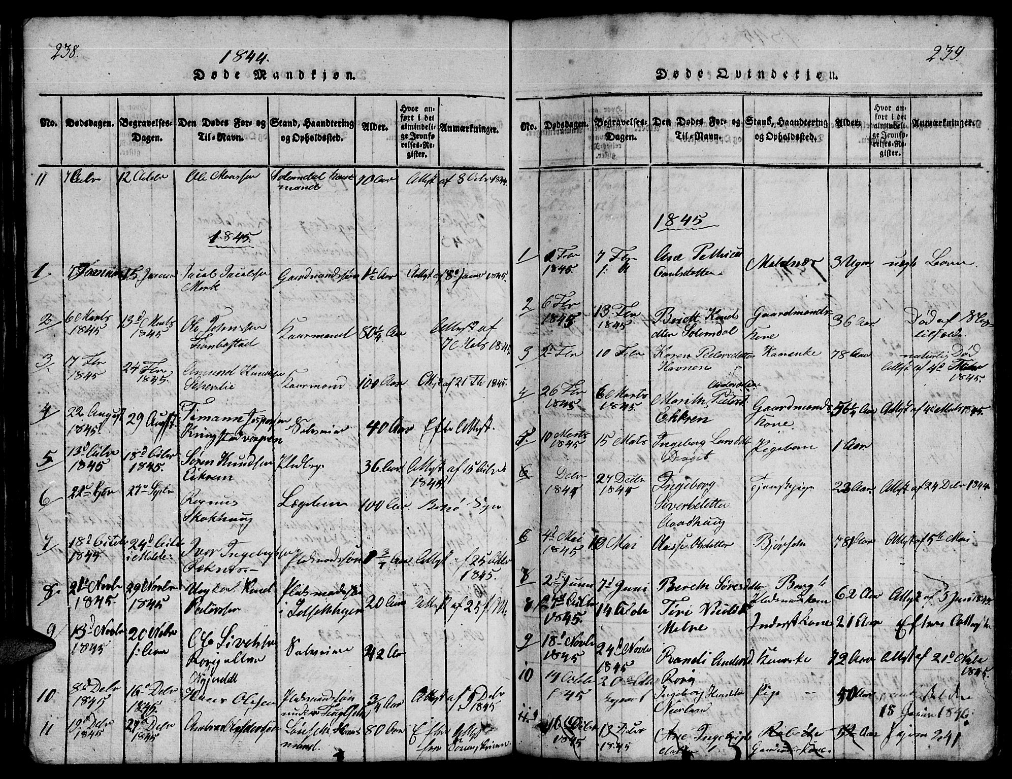 Ministerialprotokoller, klokkerbøker og fødselsregistre - Møre og Romsdal, SAT/A-1454/555/L0665: Parish register (copy) no. 555C01, 1818-1868, p. 238-239