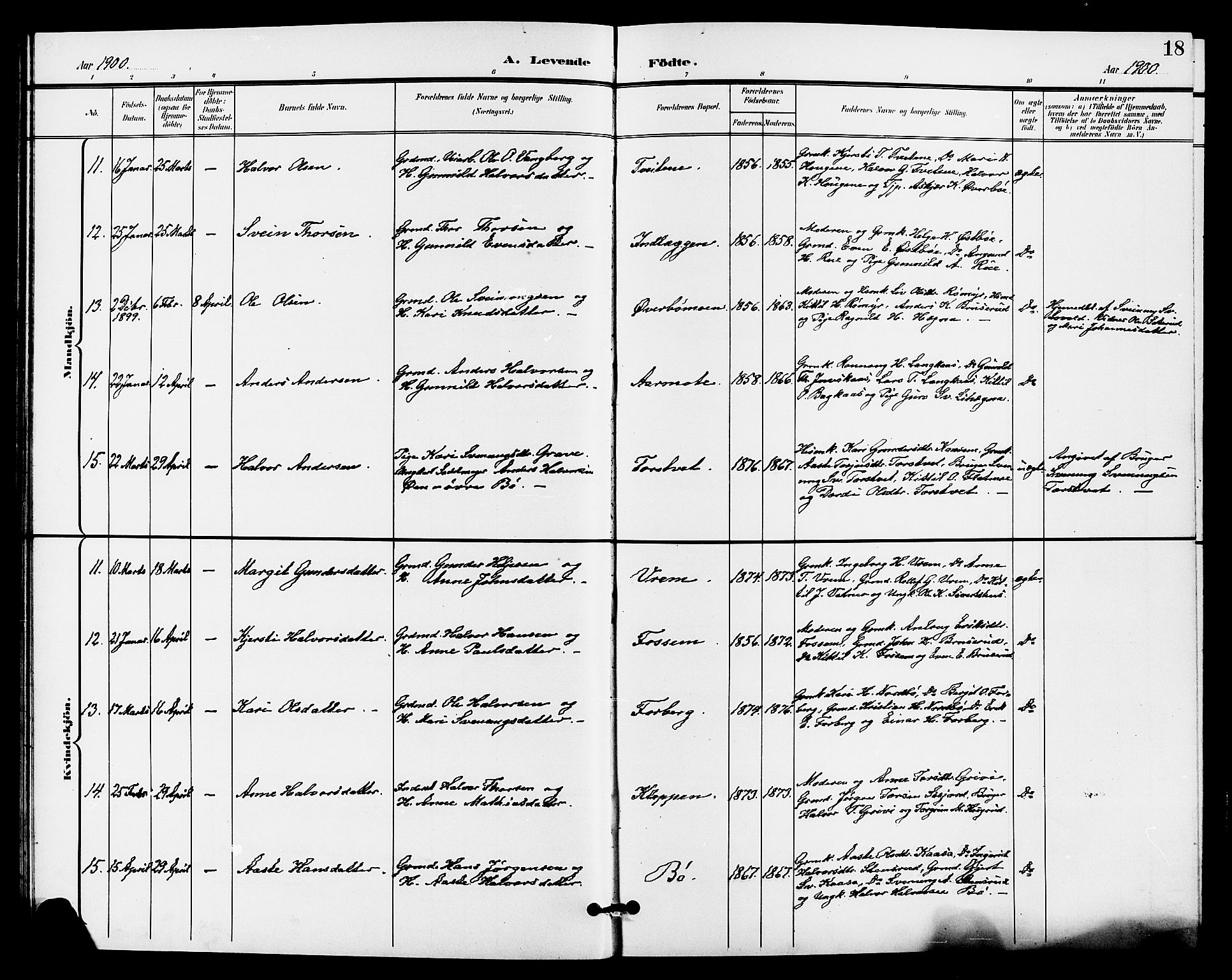 Bø kirkebøker, AV/SAKO-A-257/G/Ga/L0006: Parish register (copy) no. 6, 1898-1909, p. 18