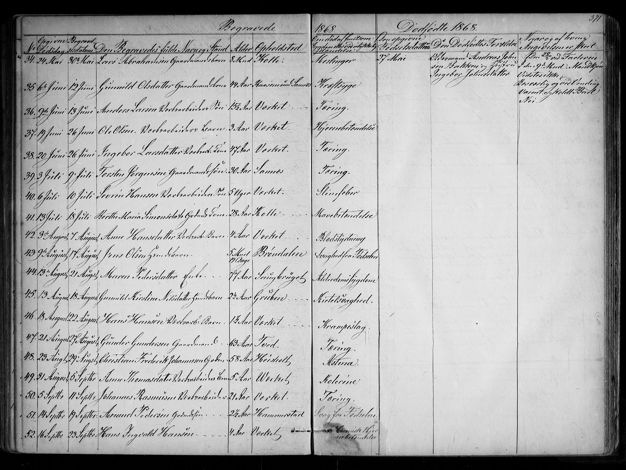 Holla kirkebøker, SAKO/A-272/G/Ga/L0004: Parish register (copy) no. I 4, 1867-1890, p. 371