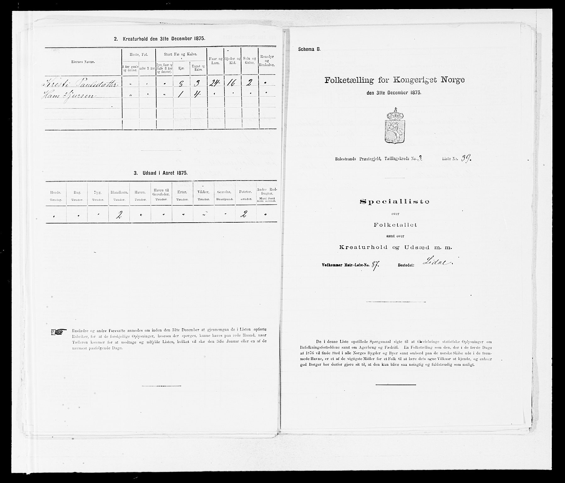 SAB, 1875 census for 1418P Balestrand, 1875, p. 434