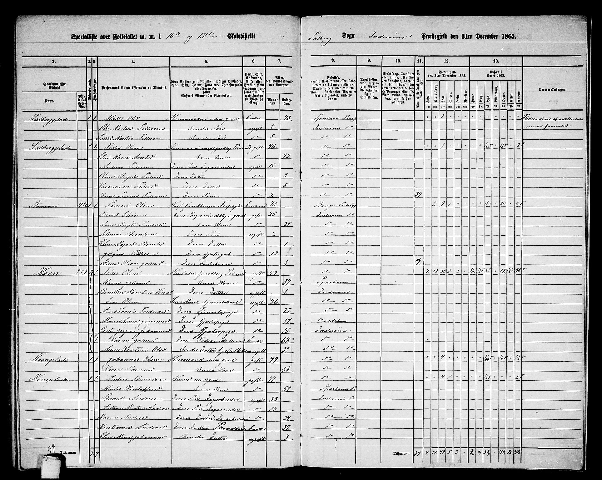 RA, 1865 census for Inderøy, 1865, p. 221