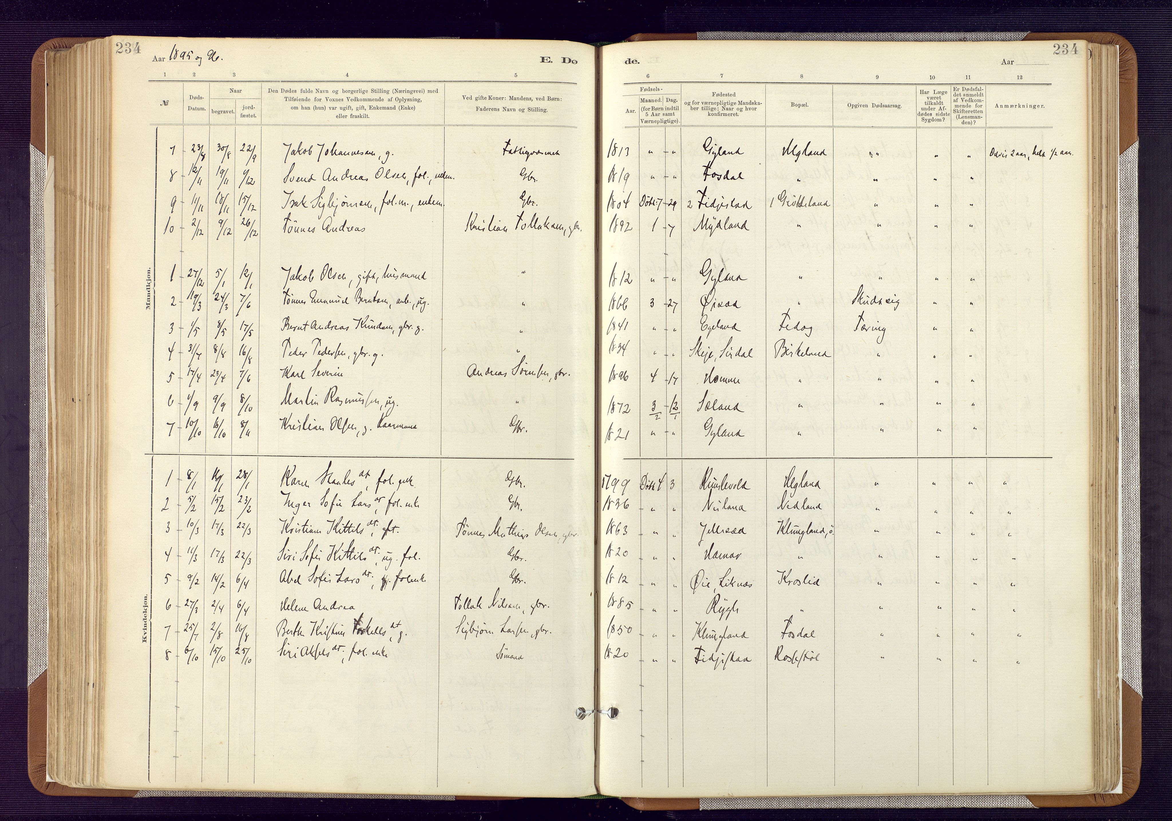 Bakke sokneprestkontor, AV/SAK-1111-0002/F/Fa/Fab/L0003: Parish register (official) no. A 3, 1884-1921, p. 234