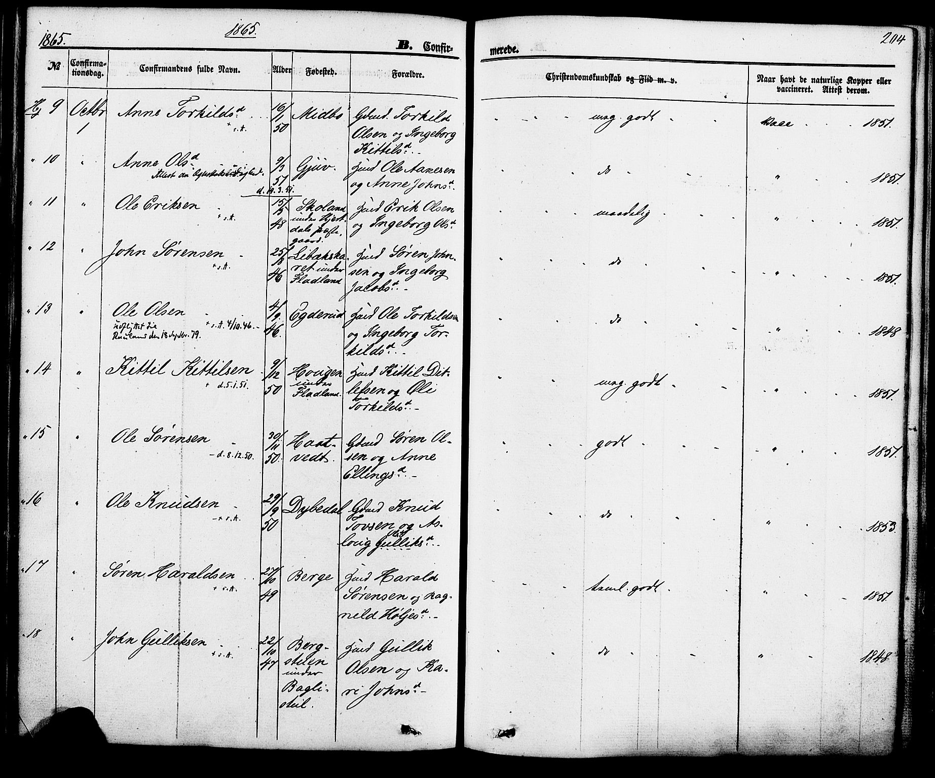 Hjartdal kirkebøker, SAKO/A-270/F/Fa/L0009: Parish register (official) no. I 9, 1860-1879, p. 204