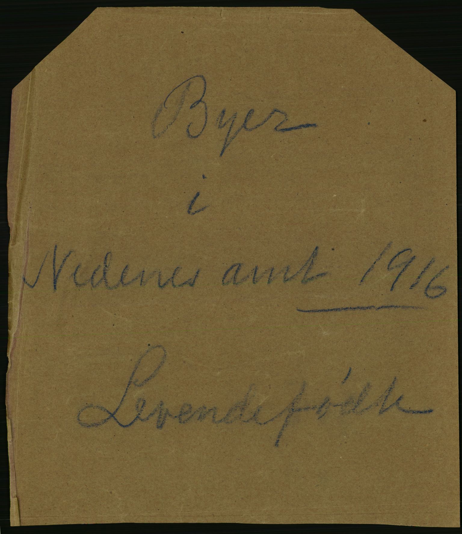 Statistisk sentralbyrå, Sosiodemografiske emner, Befolkning, AV/RA-S-2228/D/Df/Dfb/Dfbf/L0025: Nedenes amt: Levendefødte menn og kvinner, gifte. Bygder og byer., 1916, p. 323