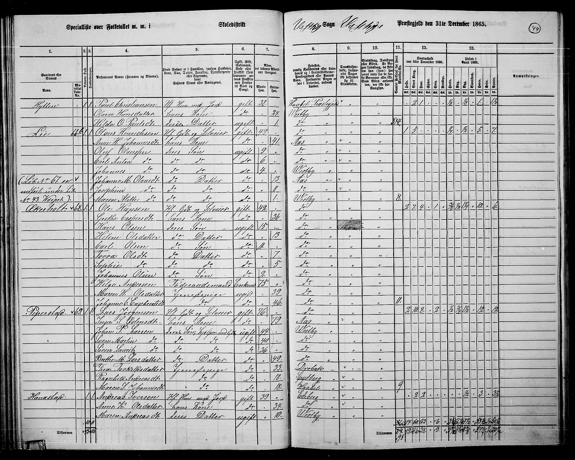 RA, 1865 census for Vestby, 1865, p. 45