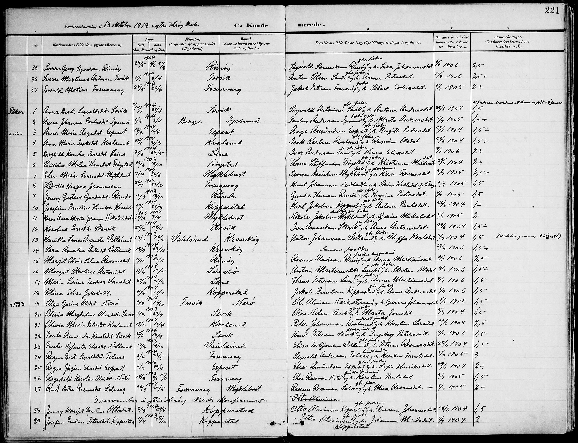 Ministerialprotokoller, klokkerbøker og fødselsregistre - Møre og Romsdal, AV/SAT-A-1454/507/L0075: Parish register (official) no. 507A10, 1901-1920, p. 221