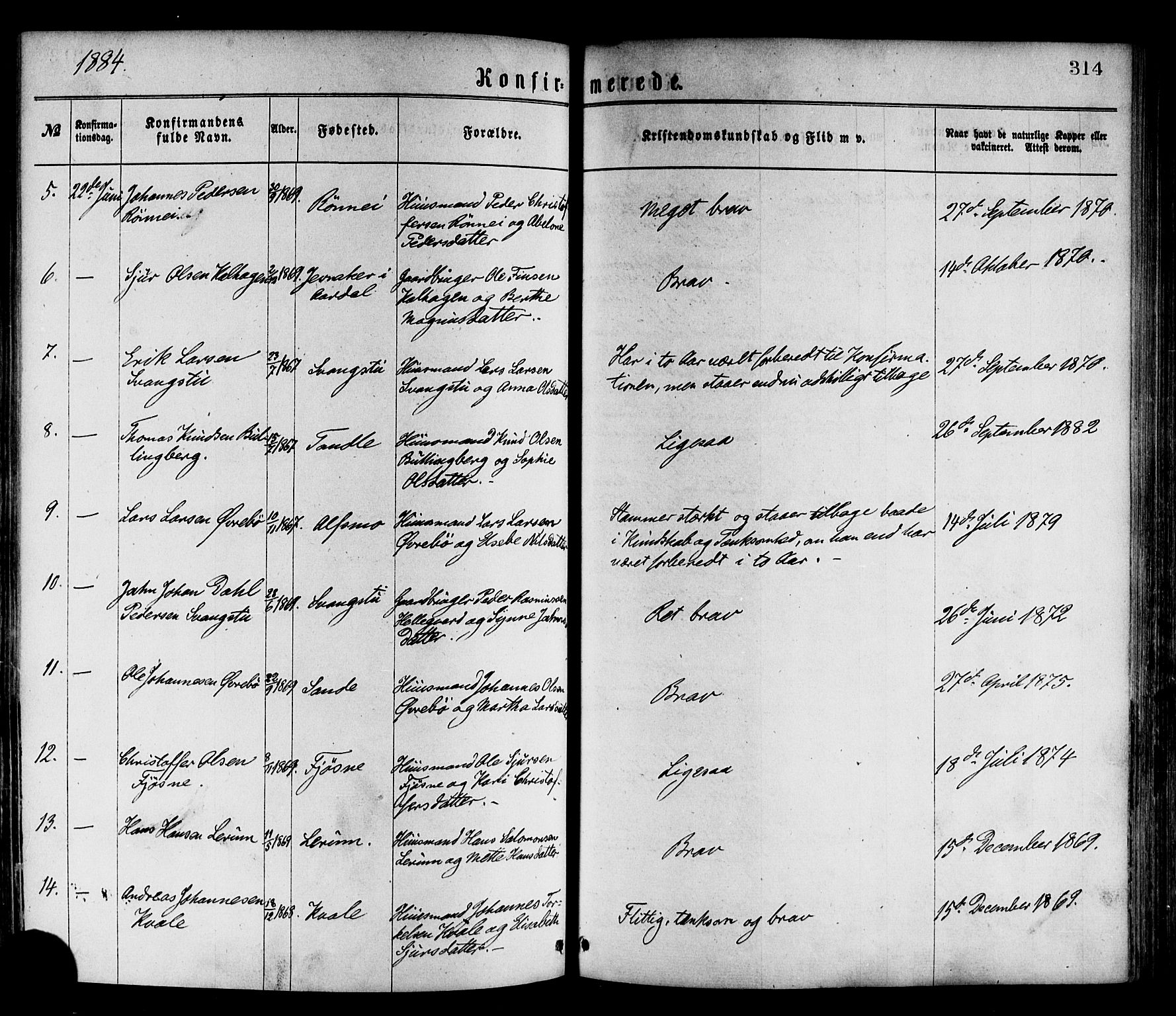 Luster sokneprestembete, AV/SAB-A-81101/H/Haa/Haaa/L0010: Parish register (official) no. A 10, 1871-1886, p. 314