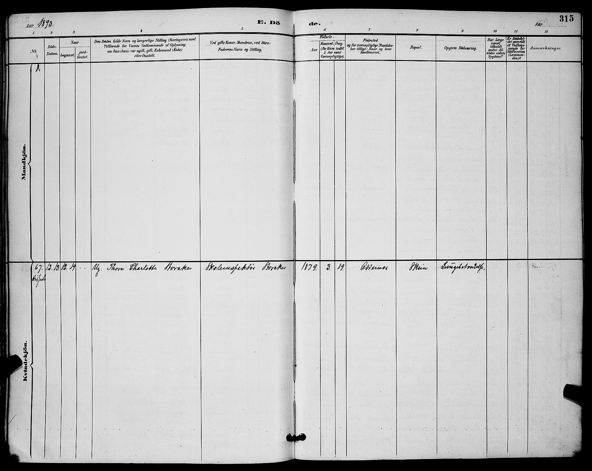 Skien kirkebøker, SAKO/A-302/G/Ga/L0007: Parish register (copy) no. 7, 1891-1900, p. 315