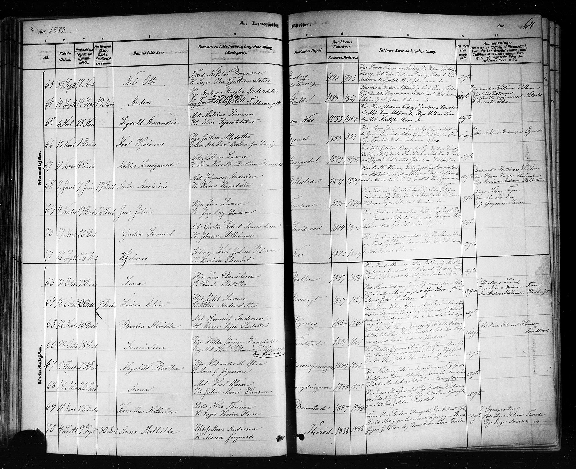 Nøtterøy kirkebøker, AV/SAKO-A-354/F/Fa/L0008: Parish register (official) no. I 8, 1878-1893, p. 64