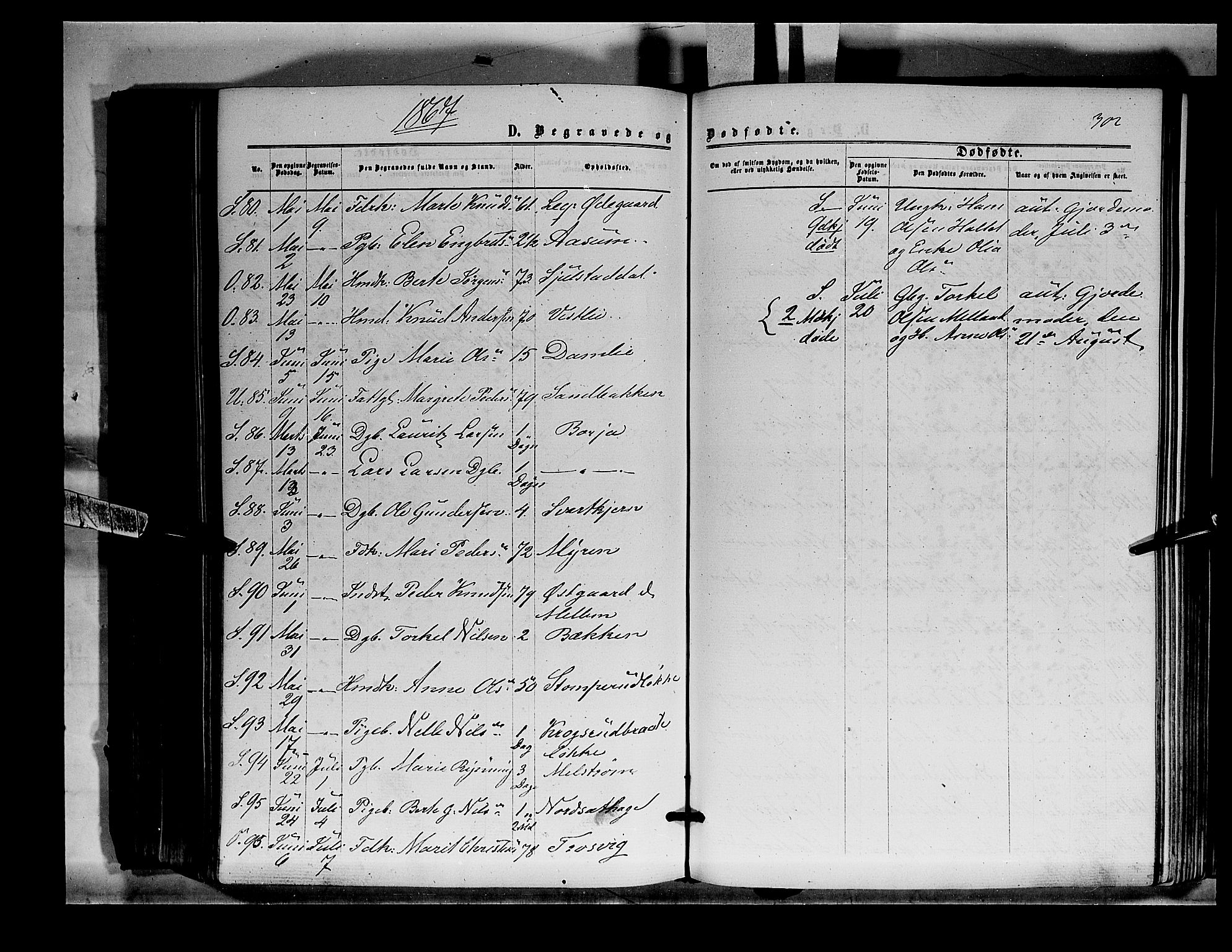 Sør-Odal prestekontor, AV/SAH-PREST-030/H/Ha/Haa/L0003: Parish register (official) no. 3, 1864-1870, p. 302