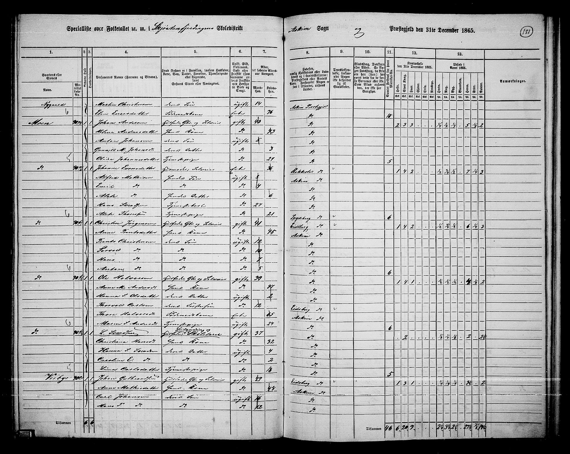 RA, 1865 census for Askim, 1865, p. 41