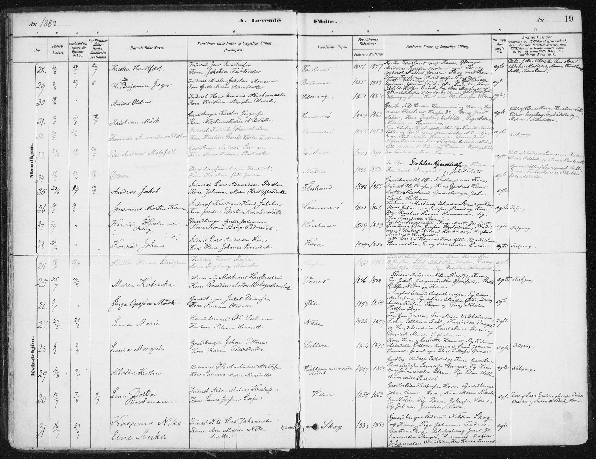 Ministerialprotokoller, klokkerbøker og fødselsregistre - Nordland, AV/SAT-A-1459/838/L0552: Parish register (official) no. 838A10, 1880-1910, p. 19