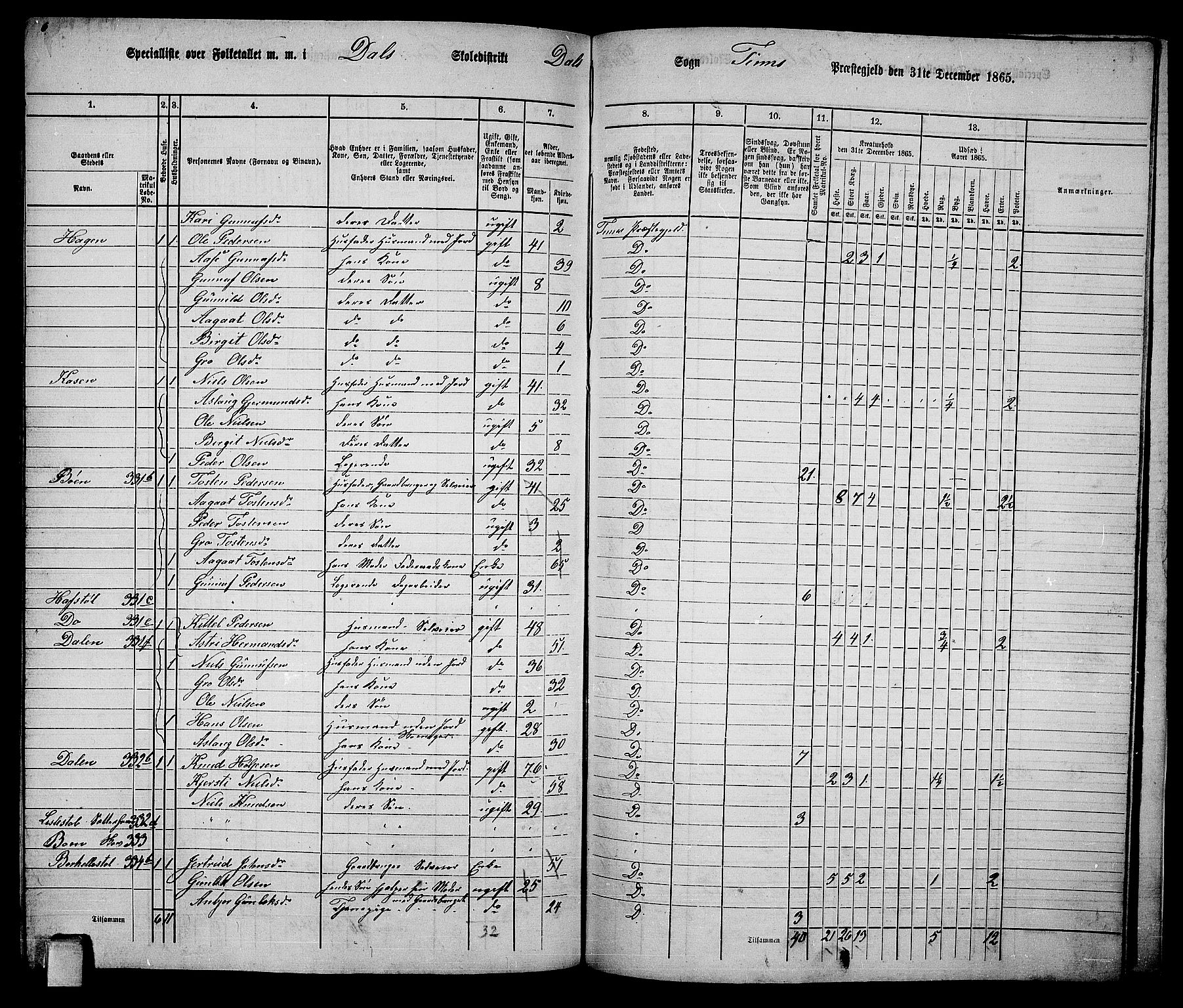 RA, 1865 census for Tinn, 1865, p. 107