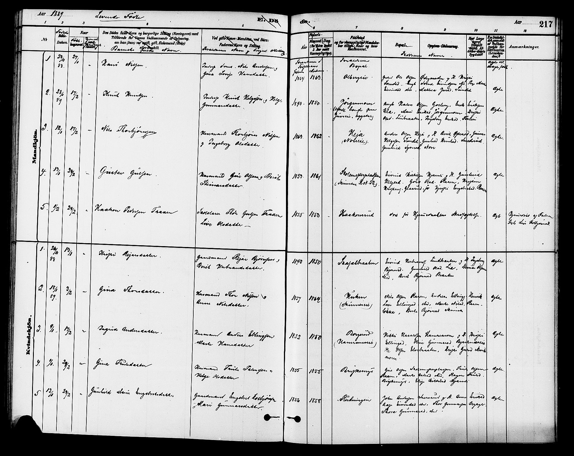 Krødsherad kirkebøker, AV/SAKO-A-19/G/Ga/L0001: Parish register (copy) no. 1, 1879-1893, p. 217