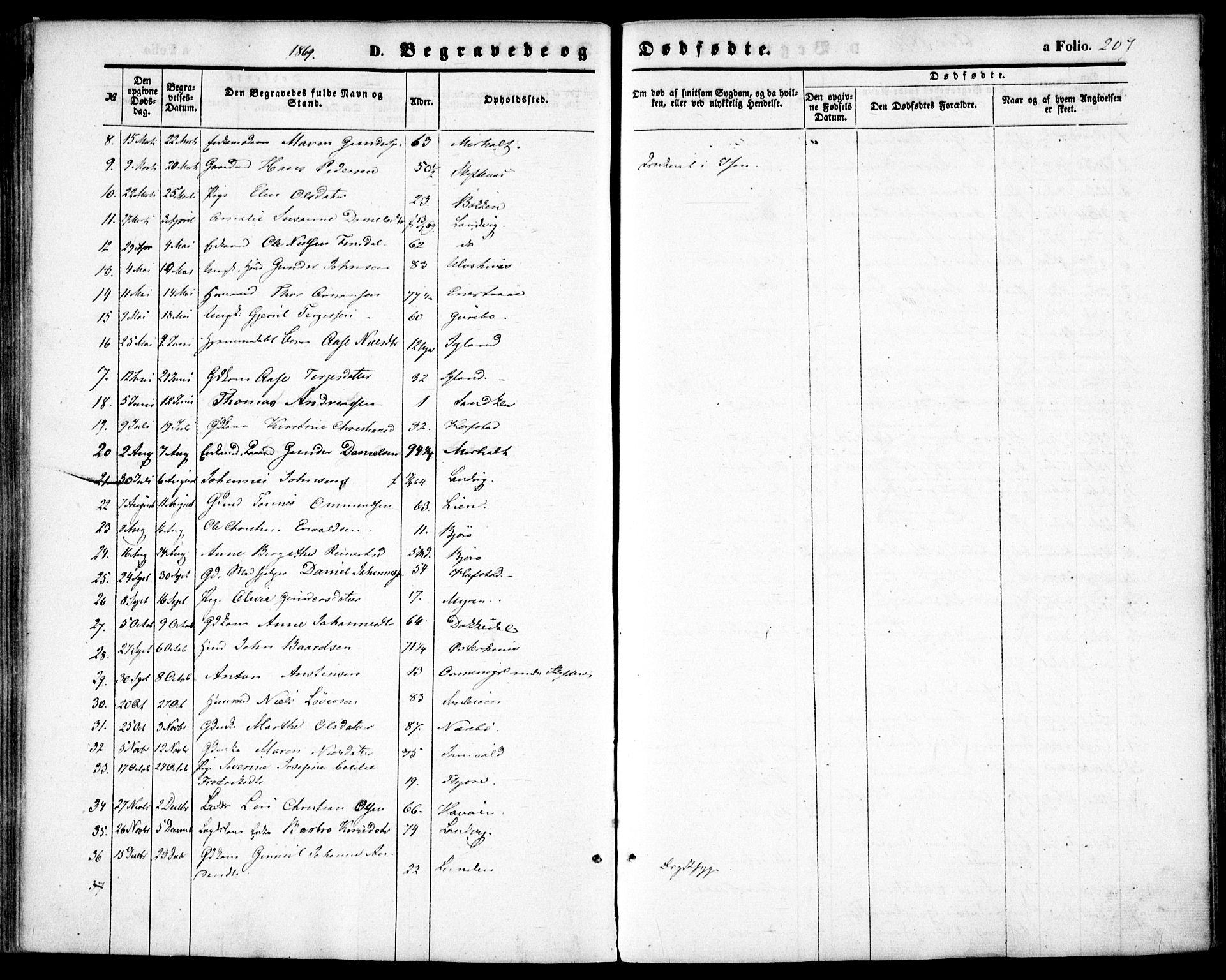 Hommedal sokneprestkontor, AV/SAK-1111-0023/F/Fa/Fab/L0005: Parish register (official) no. A 5, 1861-1877, p. 207