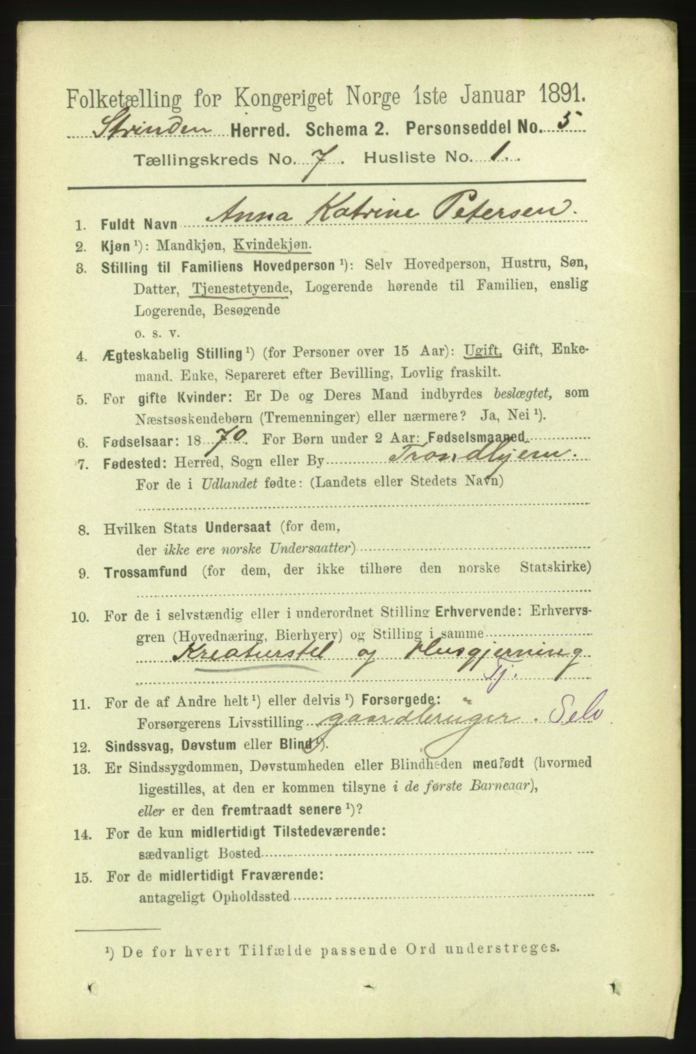 RA, 1891 census for 1660 Strinda, 1891, p. 6263