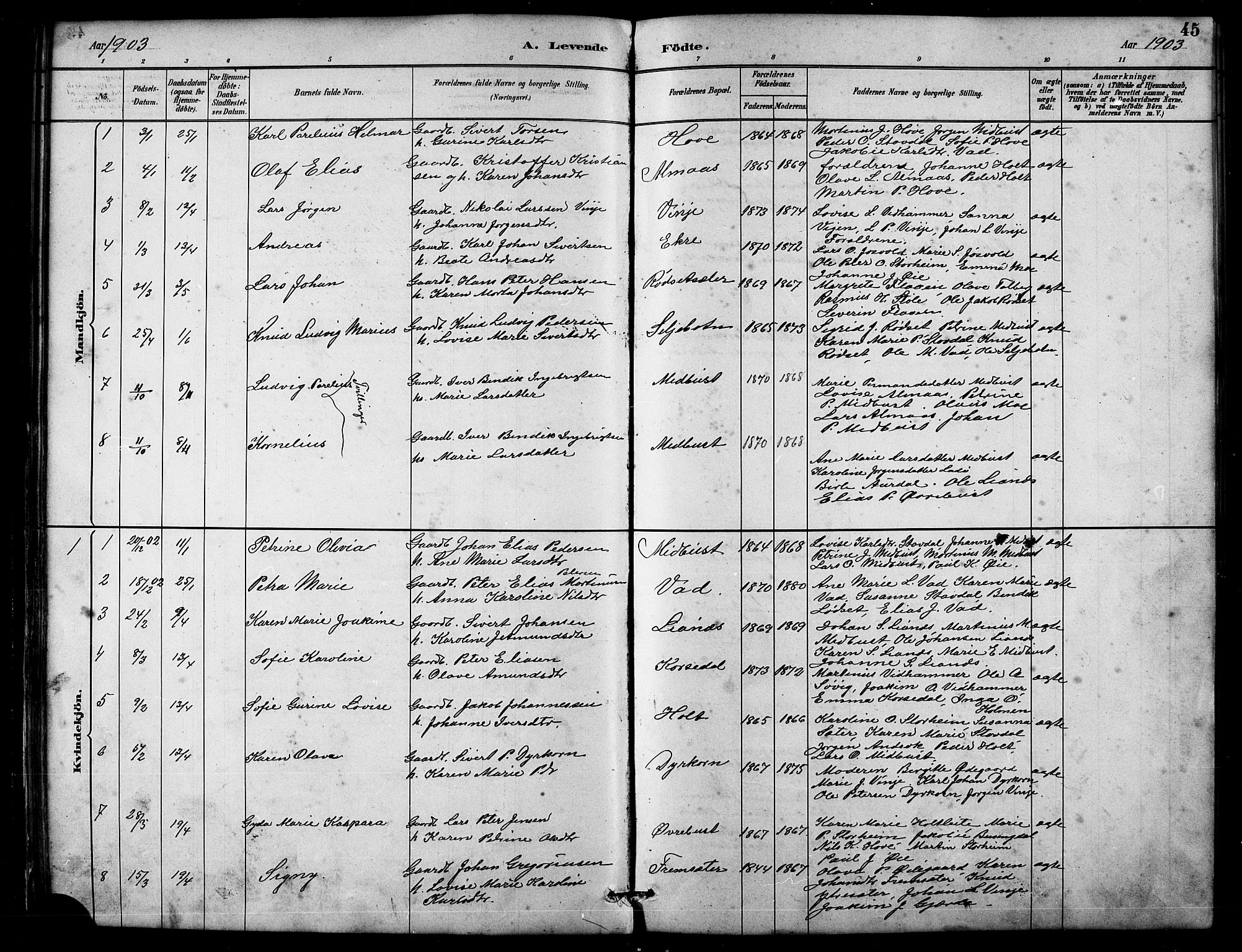 Ministerialprotokoller, klokkerbøker og fødselsregistre - Møre og Romsdal, AV/SAT-A-1454/521/L0302: Parish register (copy) no. 521C03, 1882-1907, p. 45