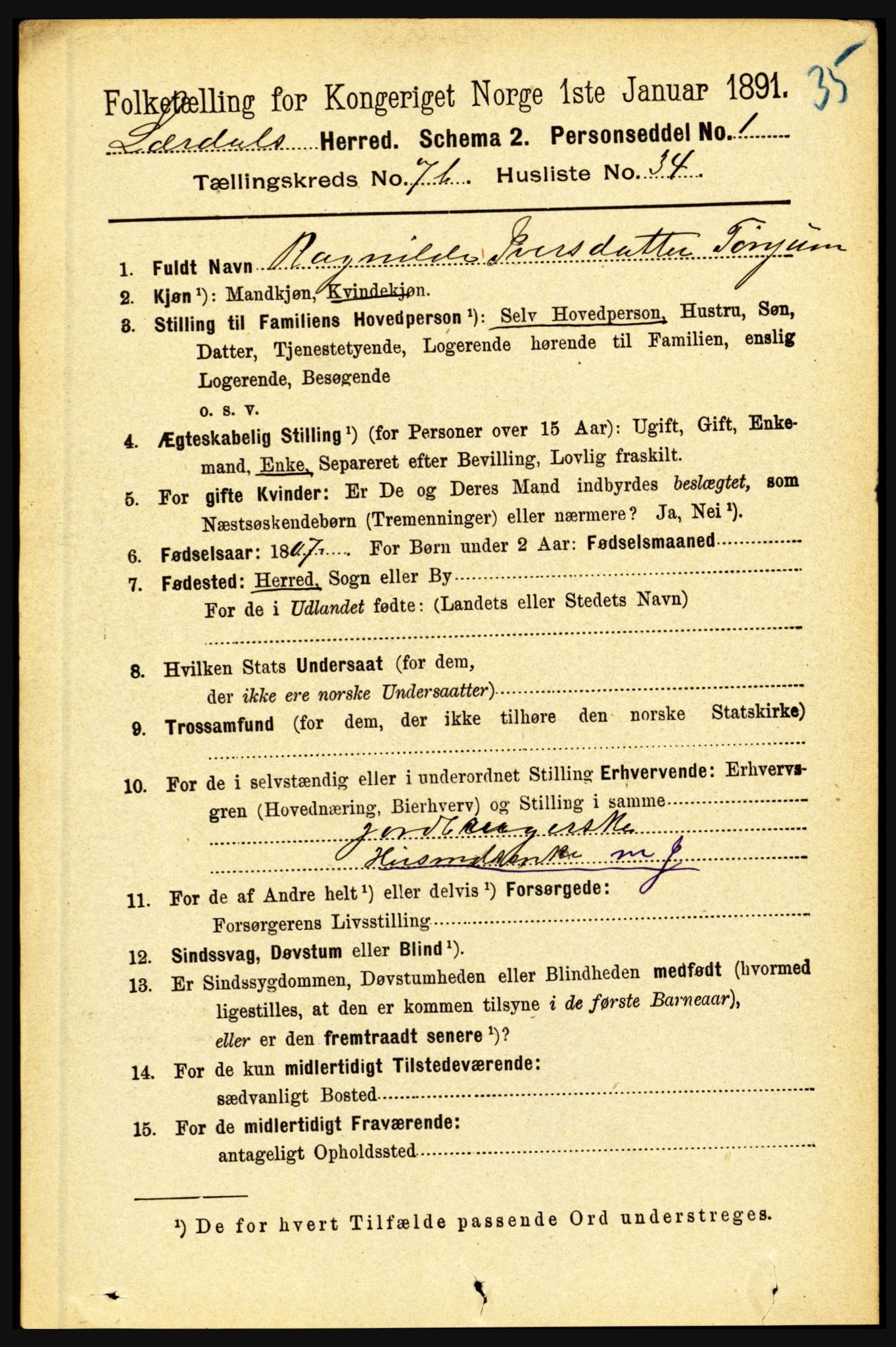 RA, 1891 census for 1422 Lærdal, 1891, p. 1323