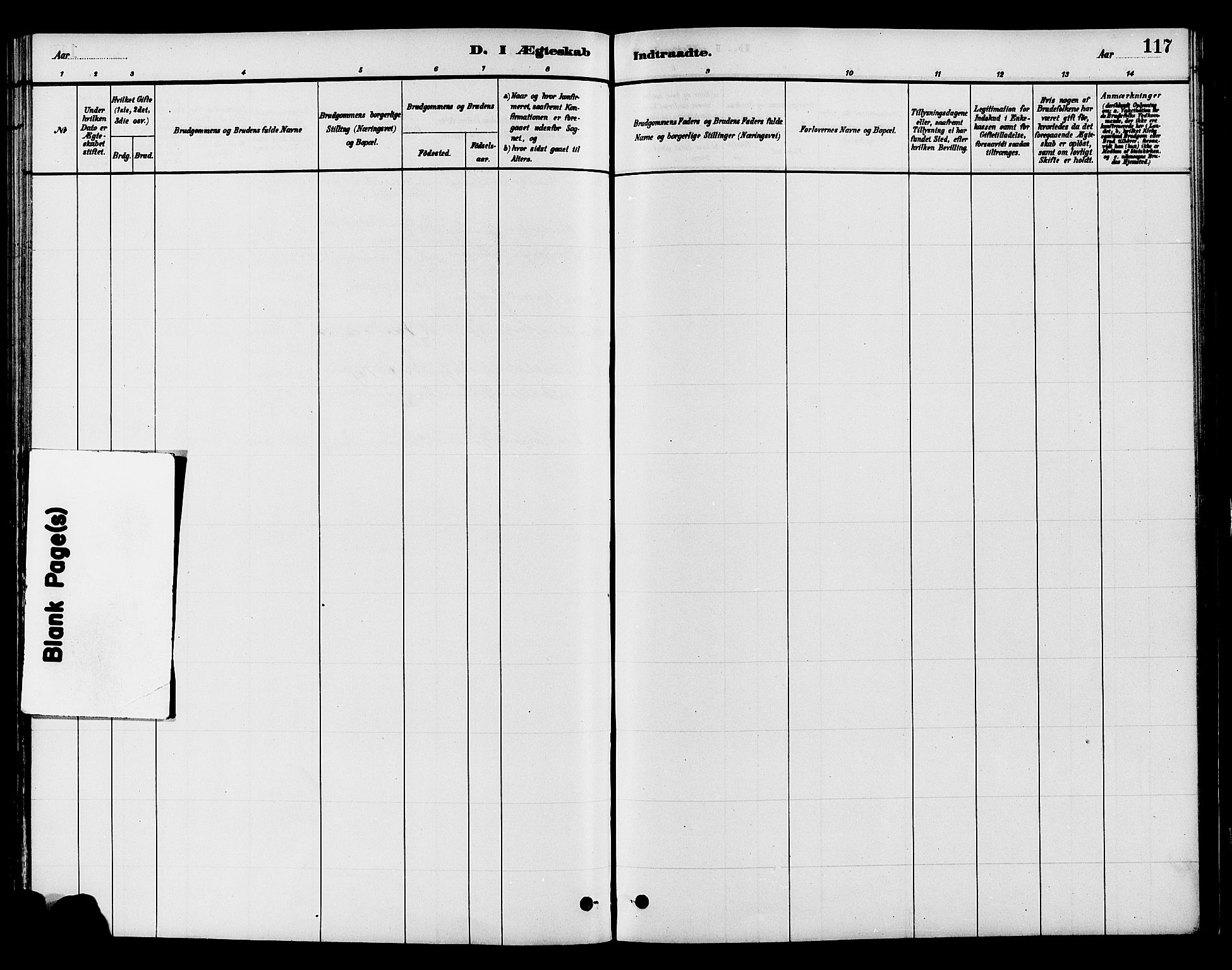 Gran prestekontor, SAH/PREST-112/H/Ha/Haa/L0015: Parish register (official) no. 15, 1880-1888, p. 117