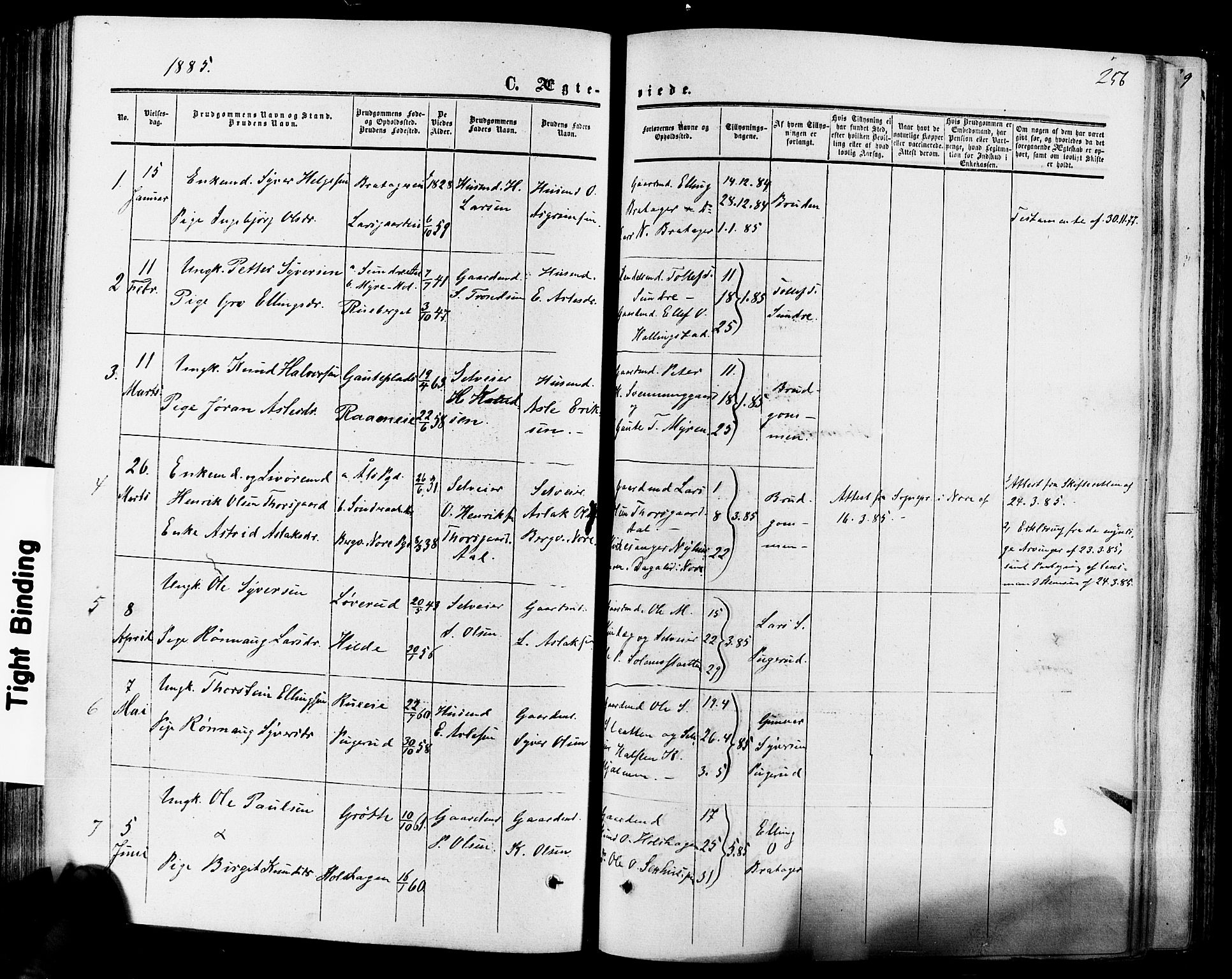 Hol kirkebøker, AV/SAKO-A-227/F/Fa/L0002: Parish register (official) no. I 2, 1870-1886, p. 256