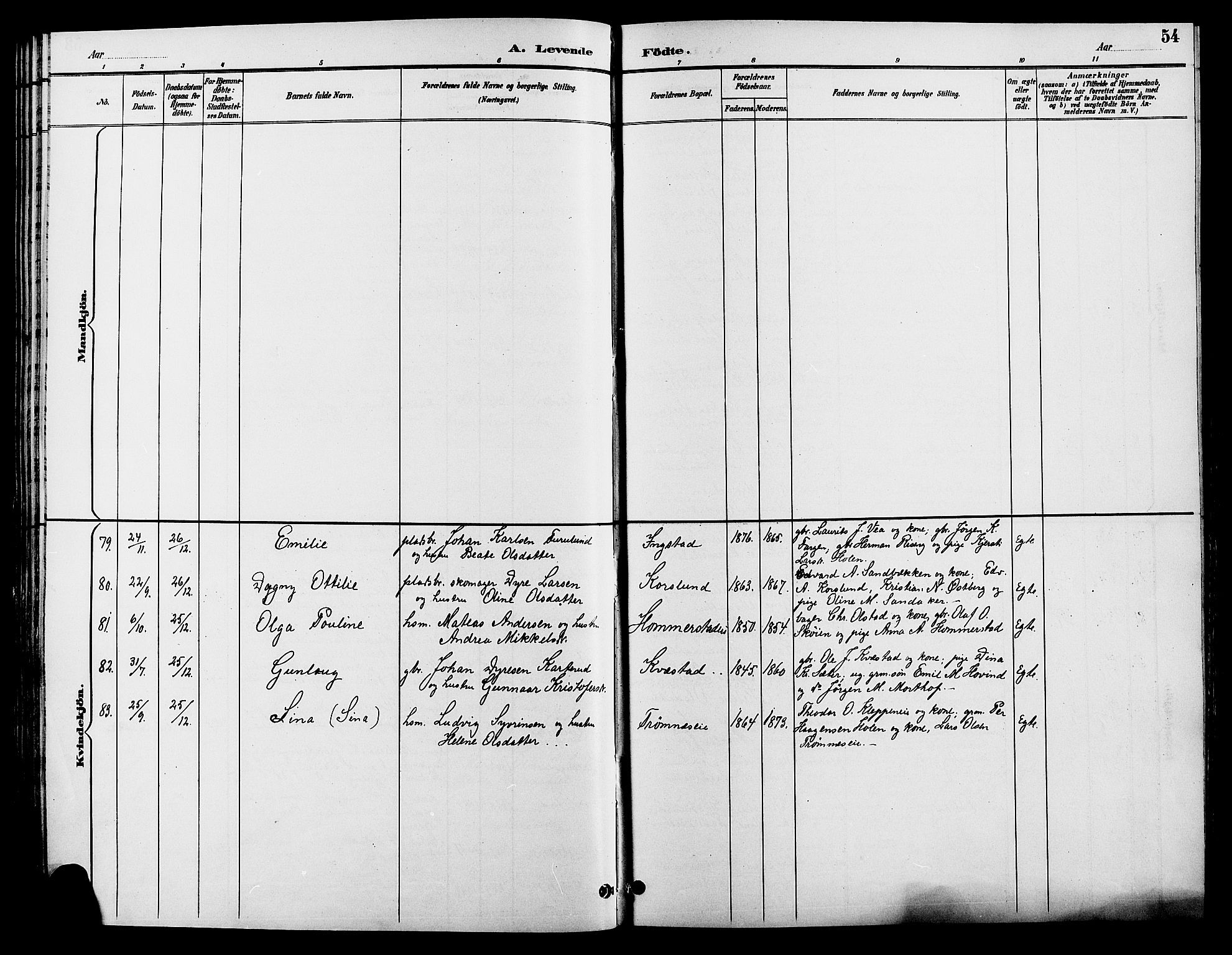 Løten prestekontor, AV/SAH-PREST-022/L/La/L0006: Parish register (copy) no. 6, 1892-1909, p. 54