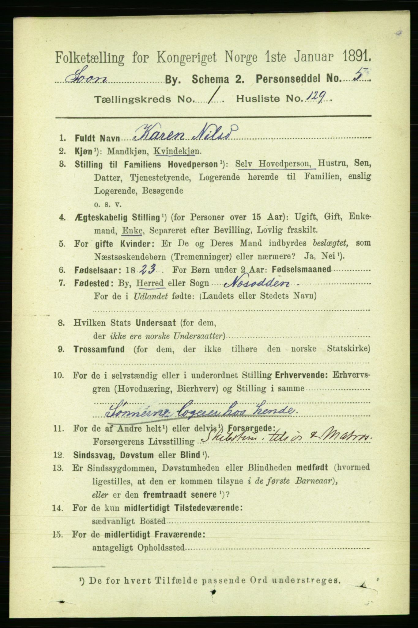 RA, 1891 census for 0201 Son, 1891, p. 823