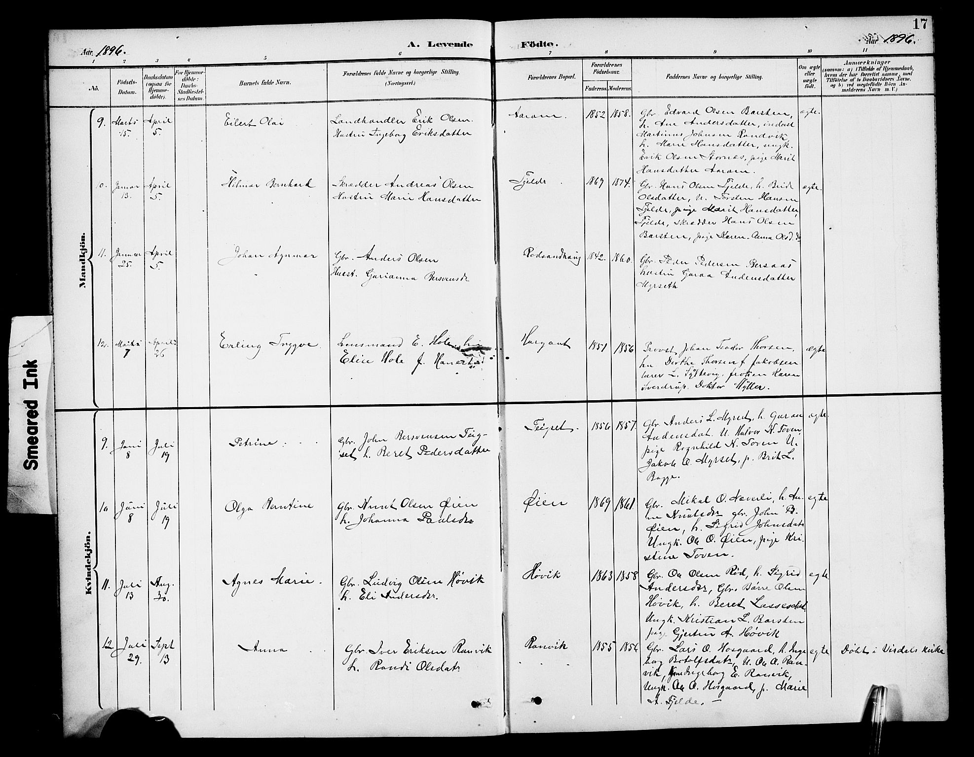 Ministerialprotokoller, klokkerbøker og fødselsregistre - Møre og Romsdal, AV/SAT-A-1454/551/L0632: Parish register (copy) no. 551C04, 1894-1920, p. 17