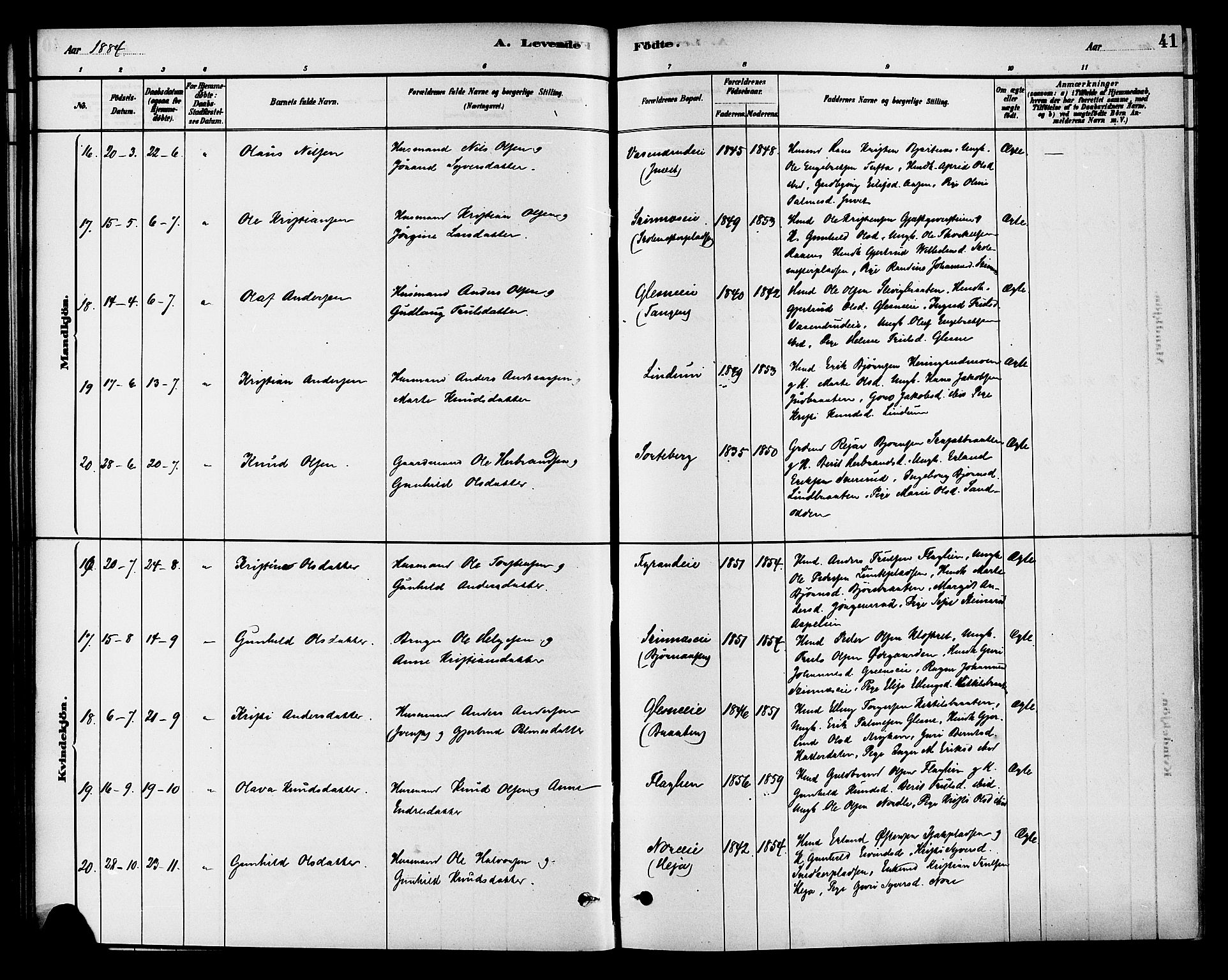 Krødsherad kirkebøker, AV/SAKO-A-19/G/Ga/L0001: Parish register (copy) no. 1, 1879-1893, p. 41