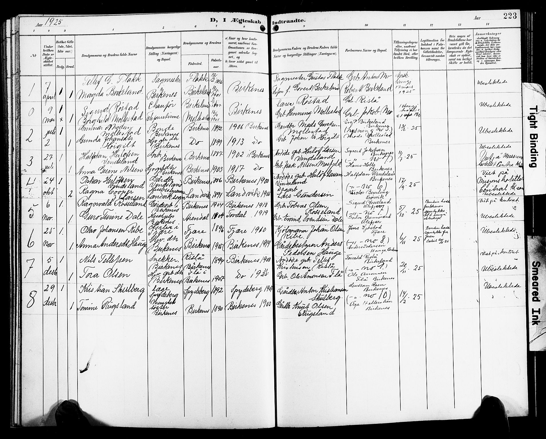 Birkenes sokneprestkontor, SAK/1111-0004/F/Fb/L0004: Parish register (copy) no. B 4, 1893-1930, p. 223