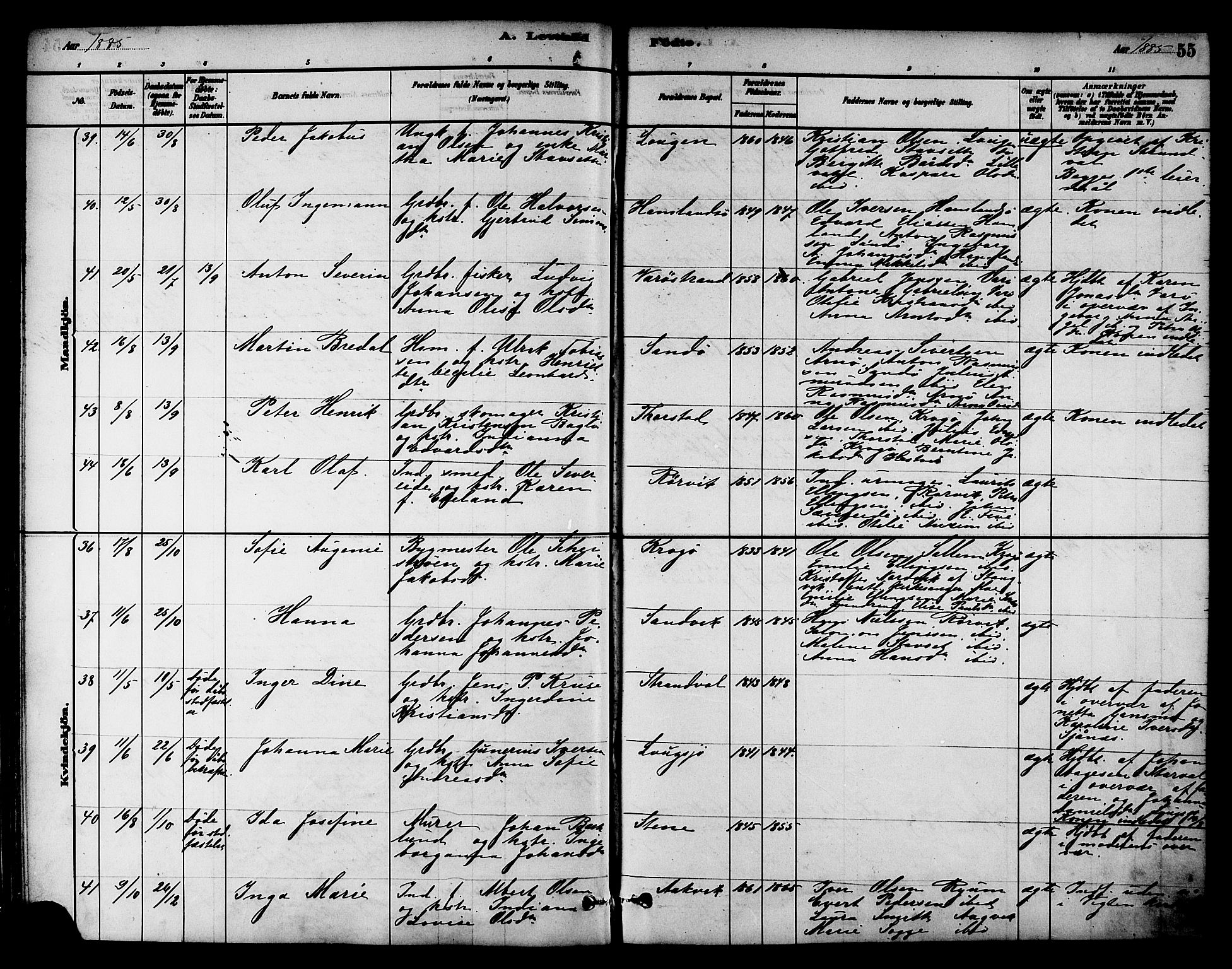 Ministerialprotokoller, klokkerbøker og fødselsregistre - Nord-Trøndelag, SAT/A-1458/784/L0672: Parish register (official) no. 784A07, 1880-1887, p. 55