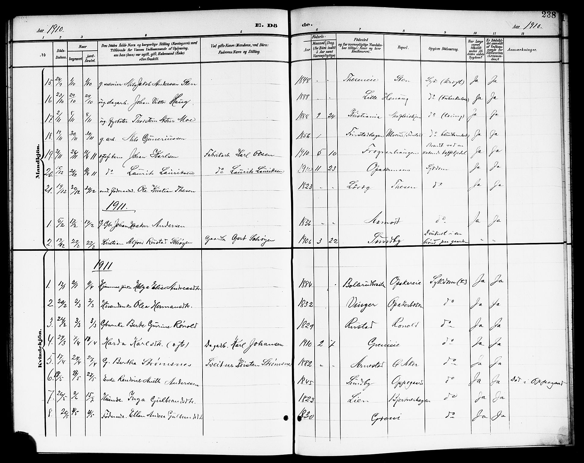 Nes prestekontor Kirkebøker, SAO/A-10410/G/Ga/L0002: Parish register (copy) no. I 2, 1901-1912, p. 238