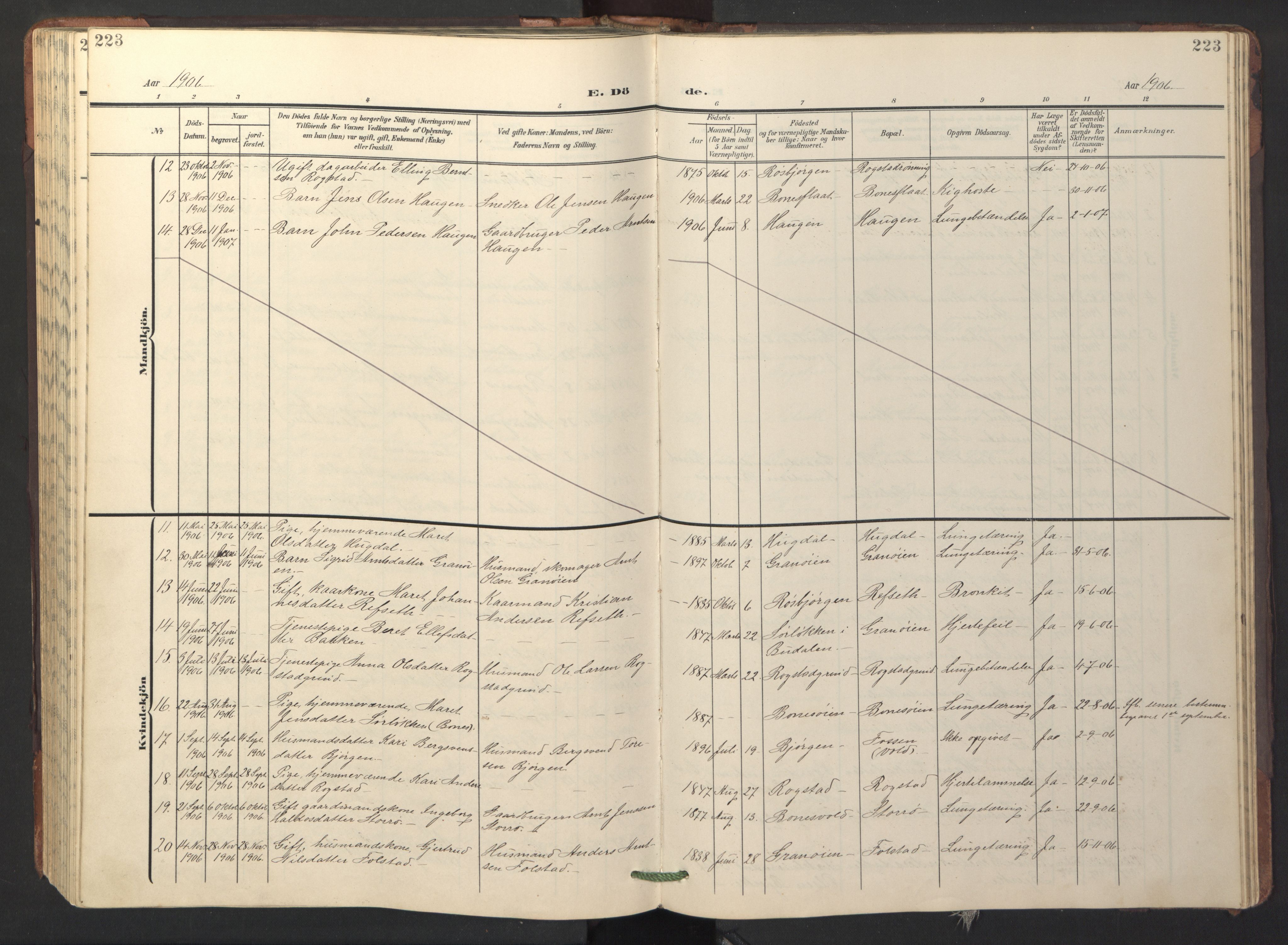 Ministerialprotokoller, klokkerbøker og fødselsregistre - Sør-Trøndelag, SAT/A-1456/687/L1019: Parish register (copy) no. 687C03, 1904-1931, p. 223