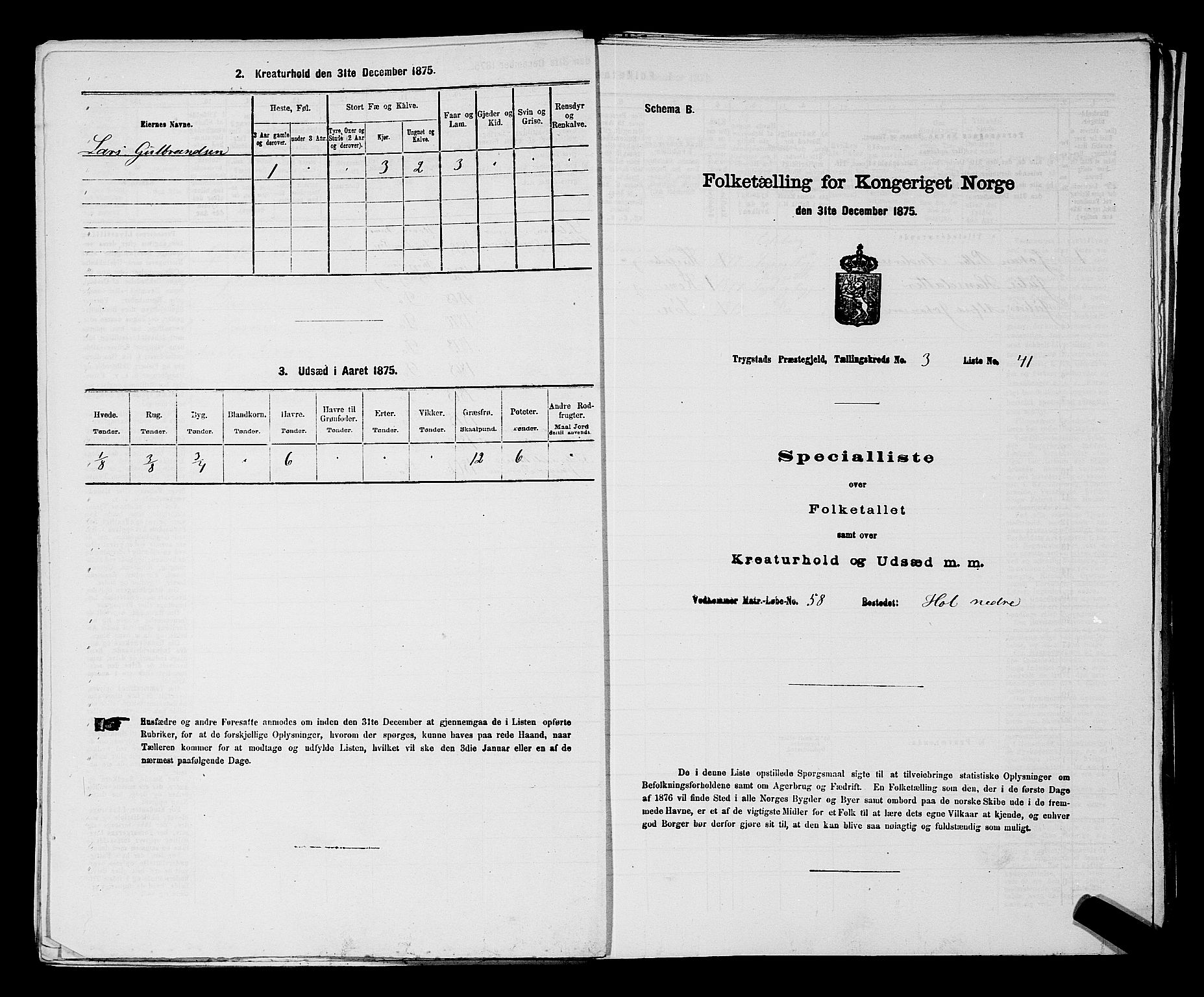 RA, 1875 census for 0122P Trøgstad, 1875, p. 299