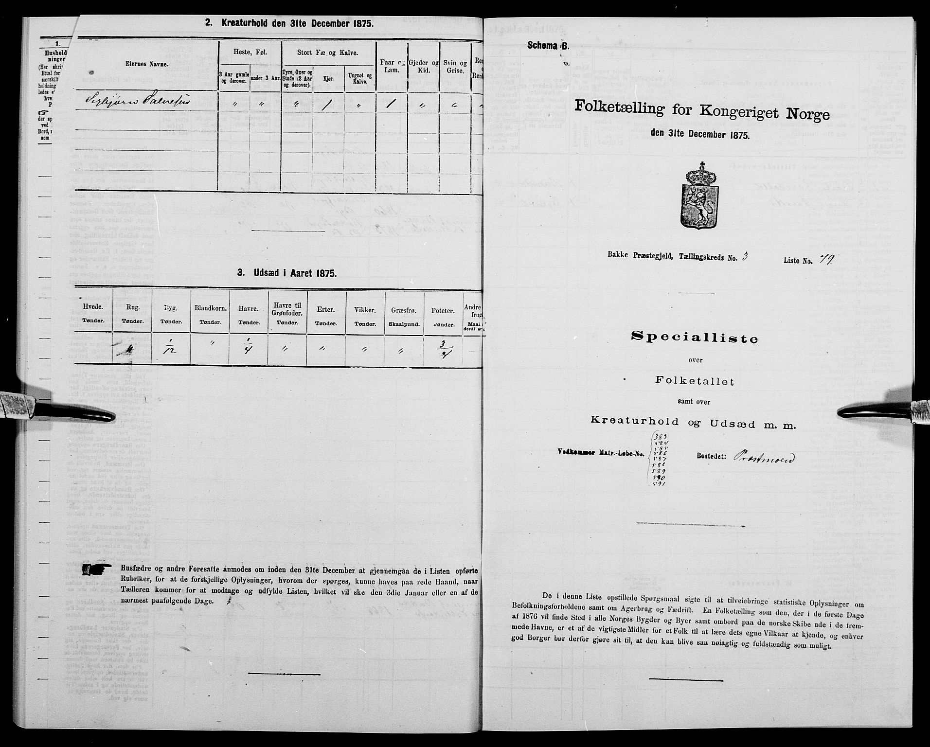 SAK, 1875 census for 1045P Bakke, 1875, p. 378