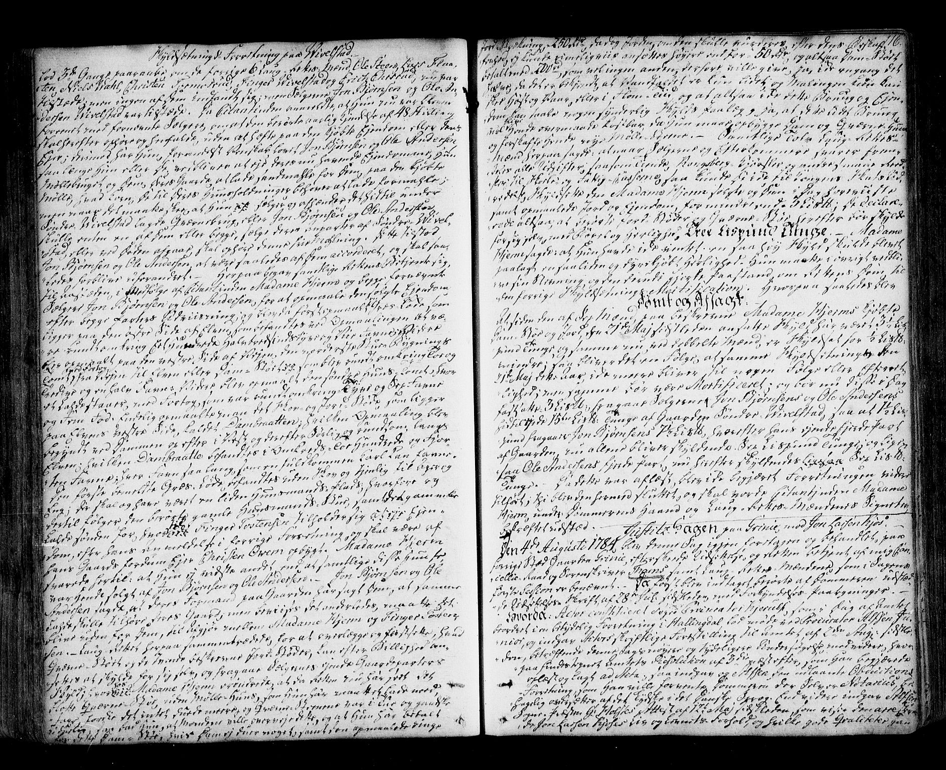 Lier, Røyken og Hurum sorenskriveri, SAKO/A-89/F/Fa/L0058: Tingbok, 1782-1788, p. 116