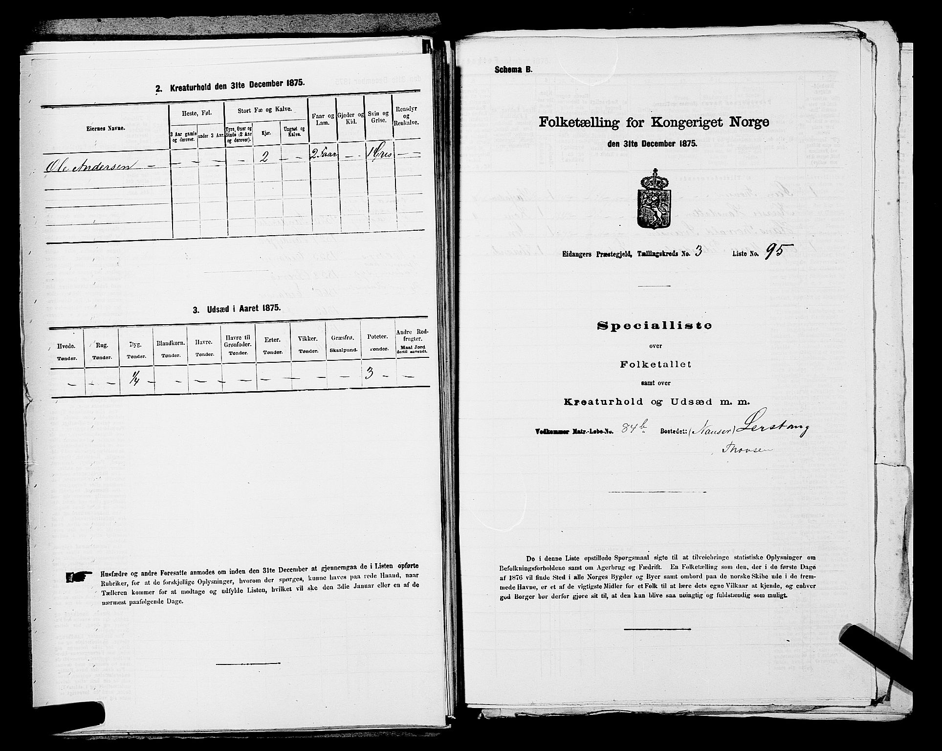 SAKO, 1875 census for 0813P Eidanger, 1875, p. 672