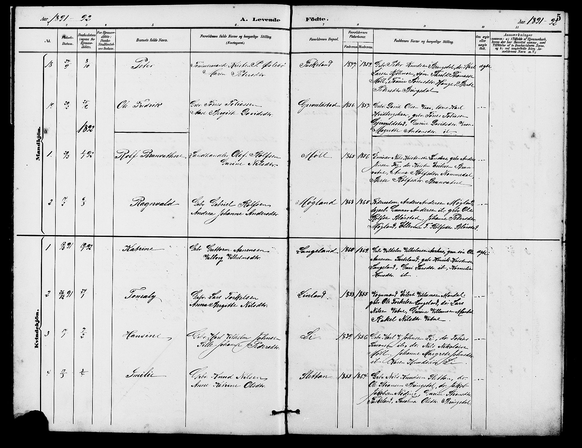 Holum sokneprestkontor, SAK/1111-0022/F/Fb/Fba/L0005: Parish register (copy) no. B 5, 1891-1909, p. 5