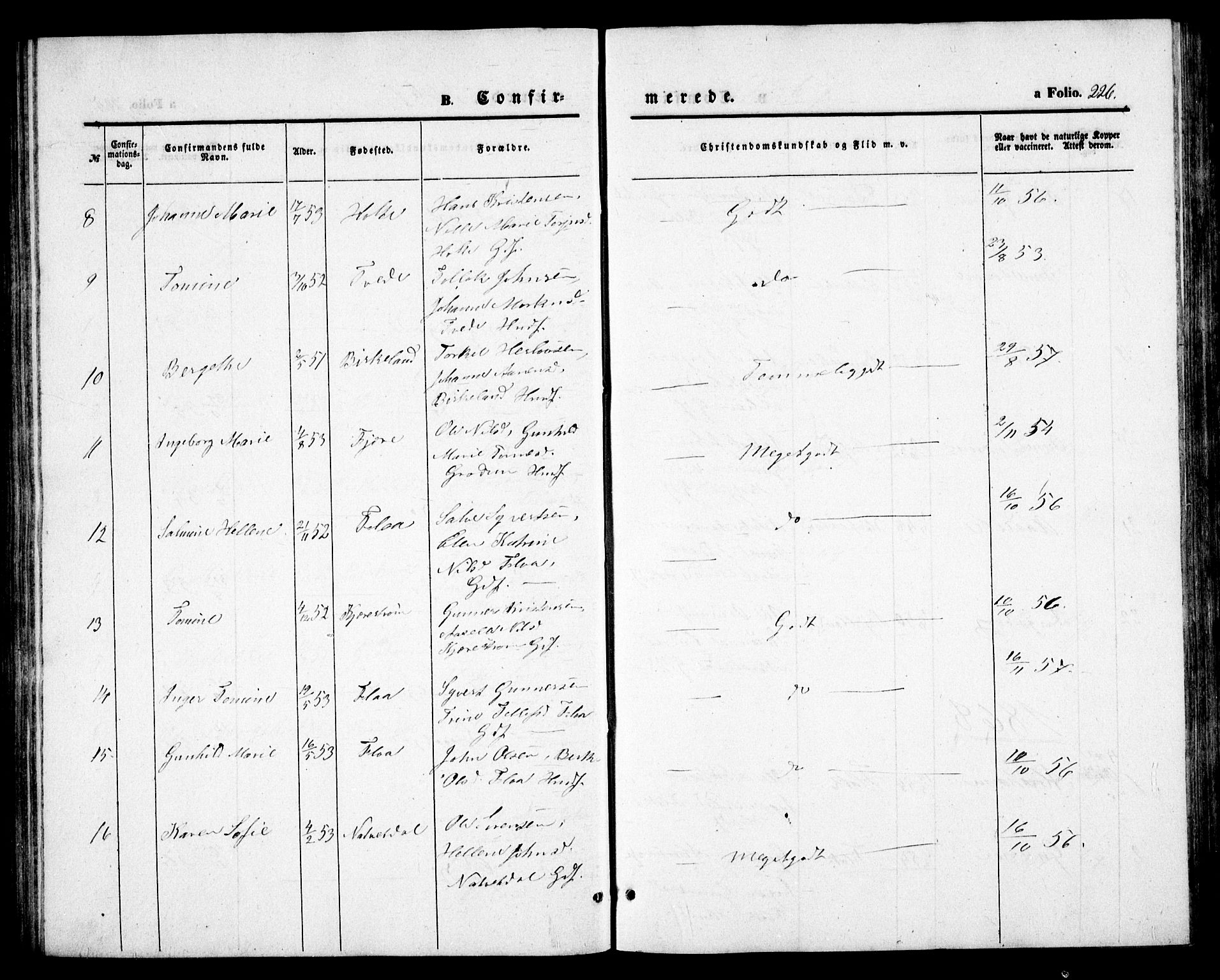 Birkenes sokneprestkontor, AV/SAK-1111-0004/F/Fb/L0002: Parish register (copy) no. B 2, 1849-1876, p. 226