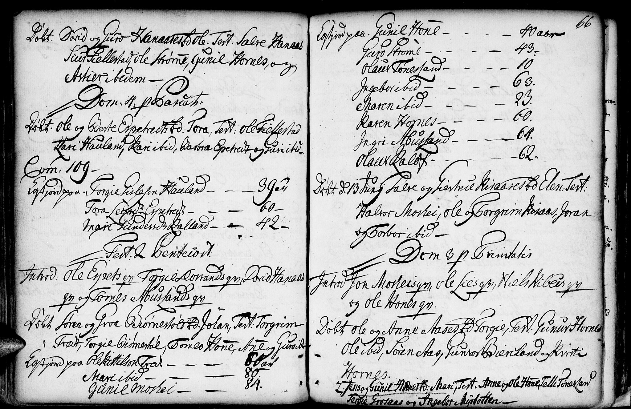 Evje sokneprestkontor, AV/SAK-1111-0008/F/Fa/Fab/L0002: Parish register (official) no. A 2, 1765-1816, p. 66