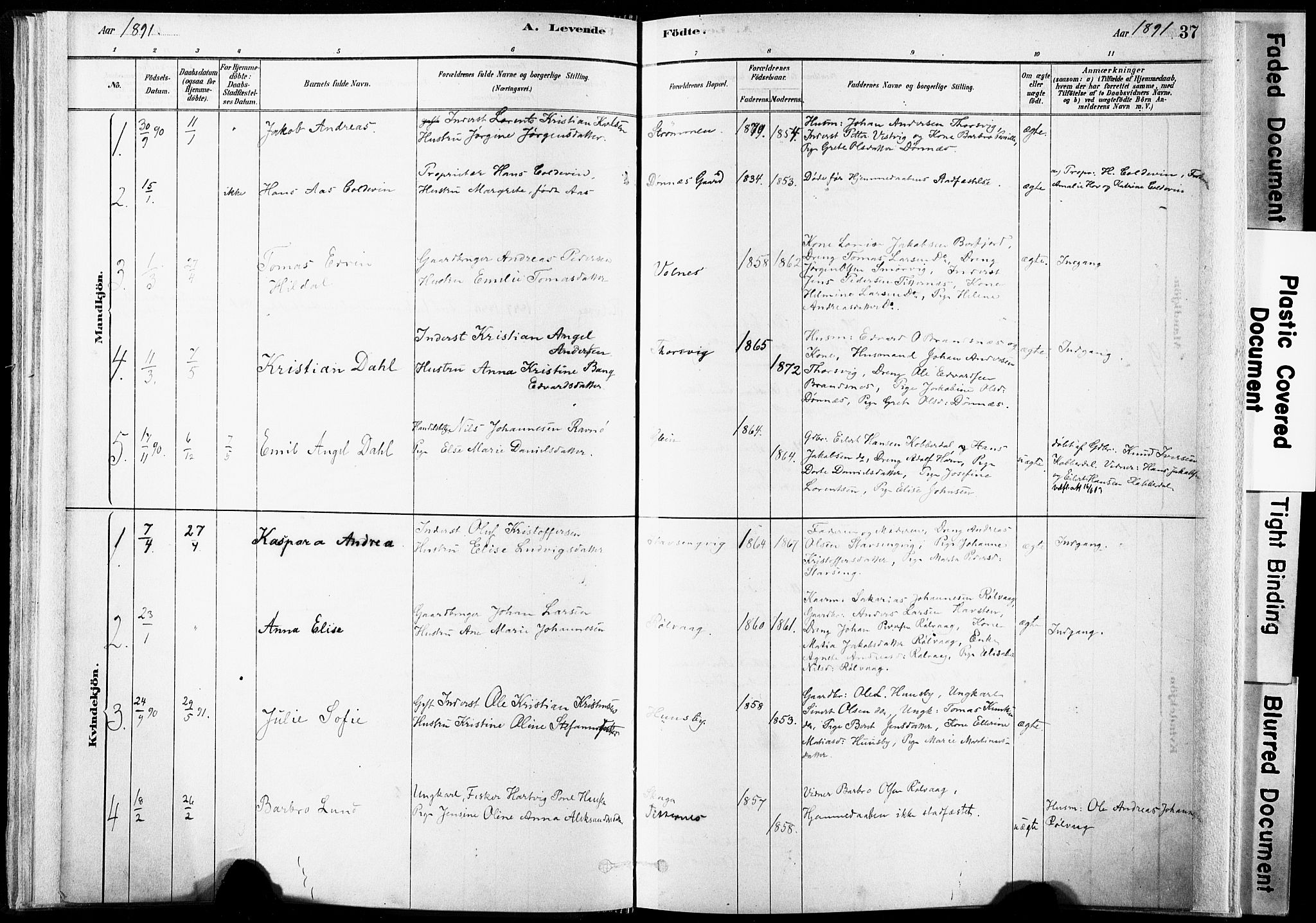 Ministerialprotokoller, klokkerbøker og fødselsregistre - Nordland, SAT/A-1459/835/L0525: Parish register (official) no. 835A03I, 1881-1910, p. 37