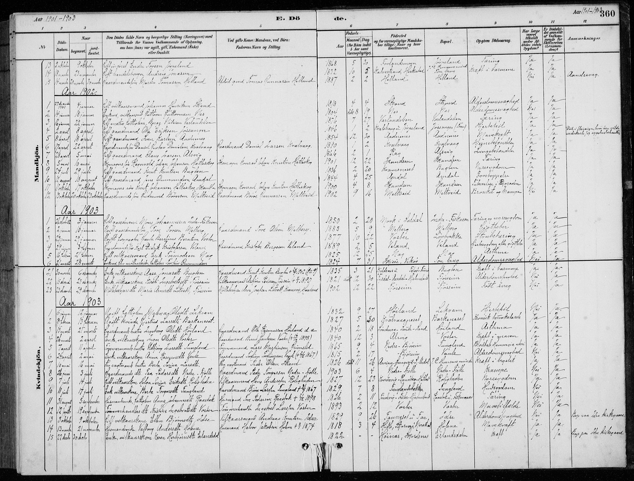 Strand sokneprestkontor, SAST/A-101828/H/Ha/Hab/L0004: Parish register (copy) no. B 4, 1878-1903, p. 360