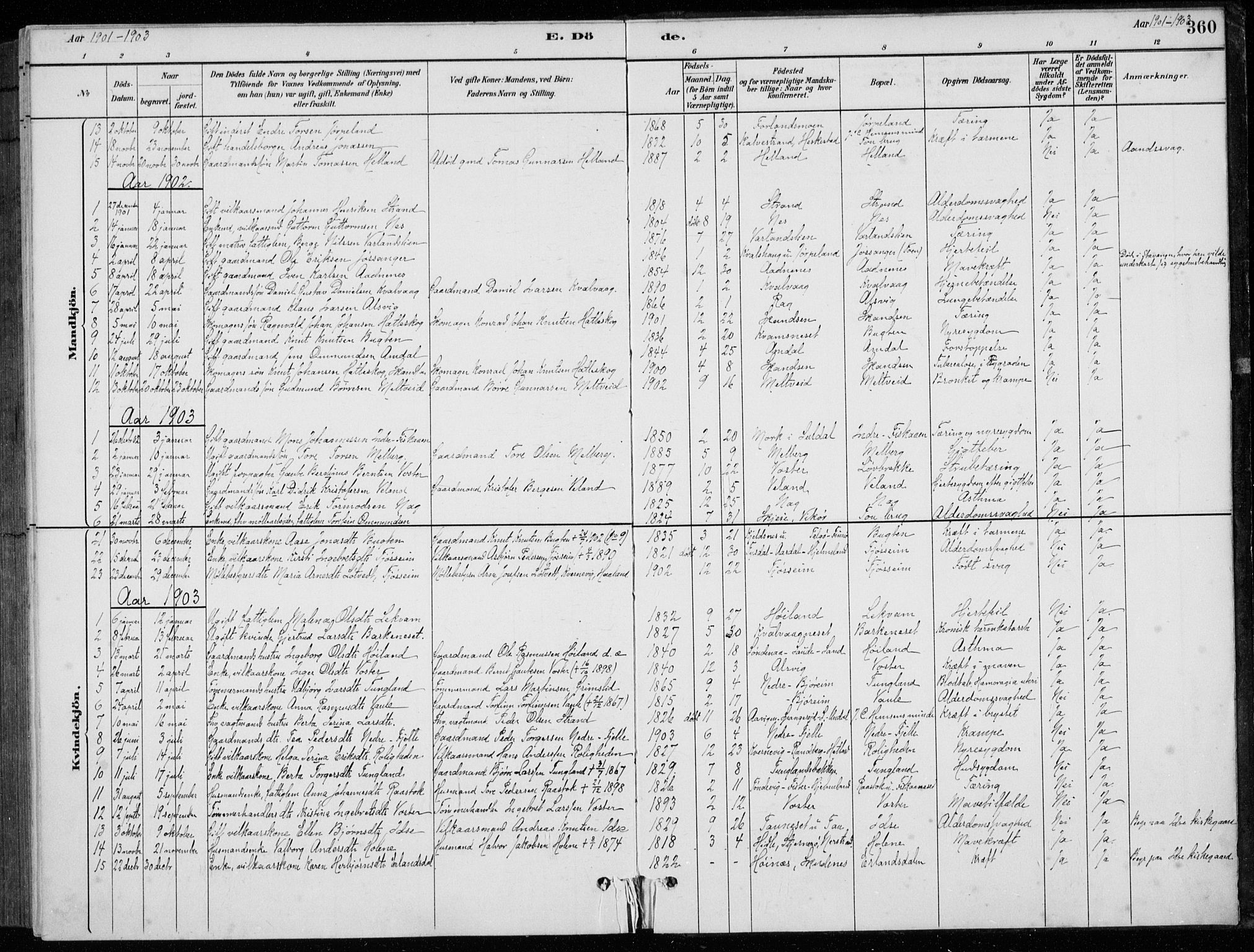 Strand sokneprestkontor, AV/SAST-A-101828/H/Ha/Hab/L0004: Parish register (copy) no. B 4, 1878-1903, p. 360