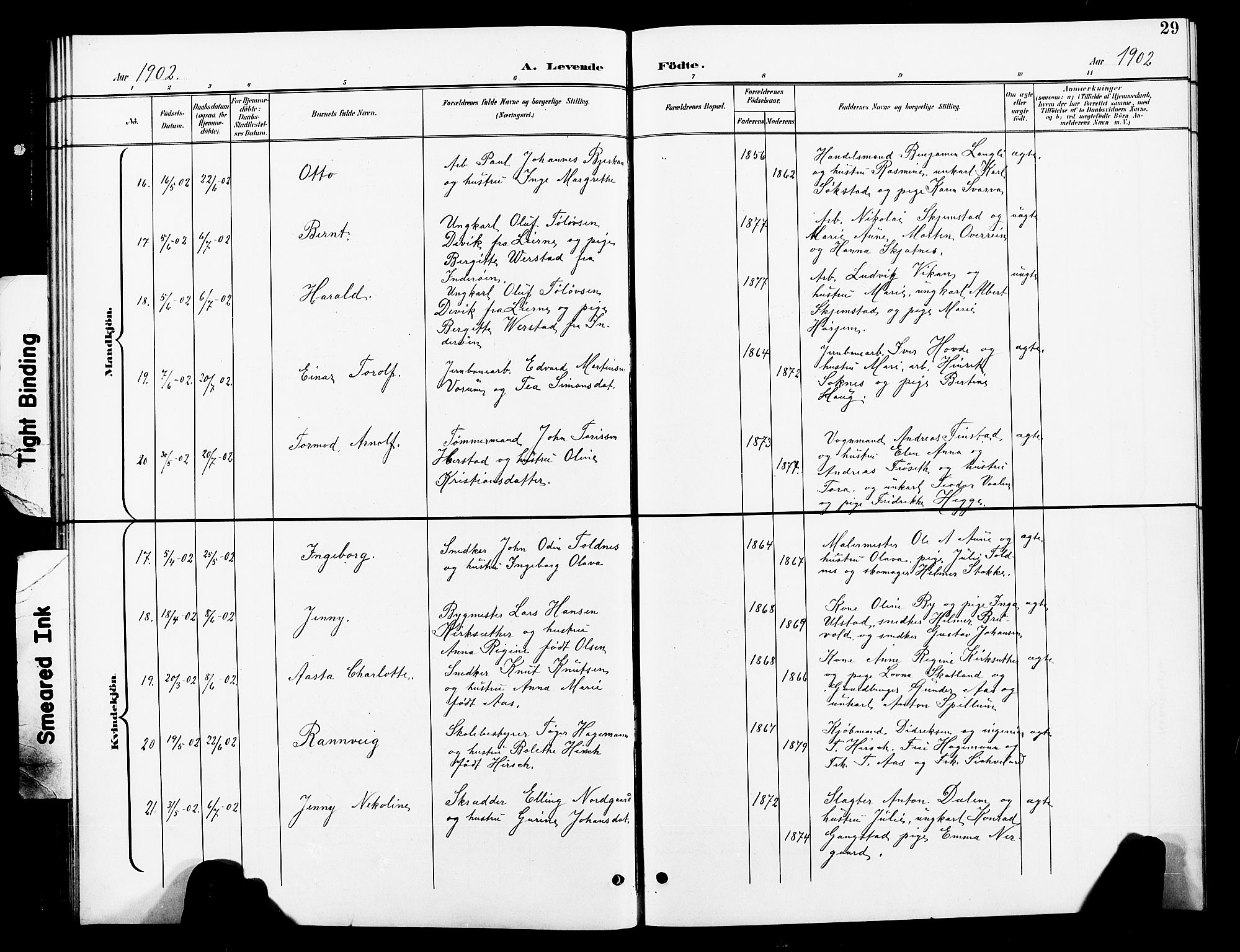 Ministerialprotokoller, klokkerbøker og fødselsregistre - Nord-Trøndelag, AV/SAT-A-1458/739/L0375: Parish register (copy) no. 739C03, 1898-1908, p. 29