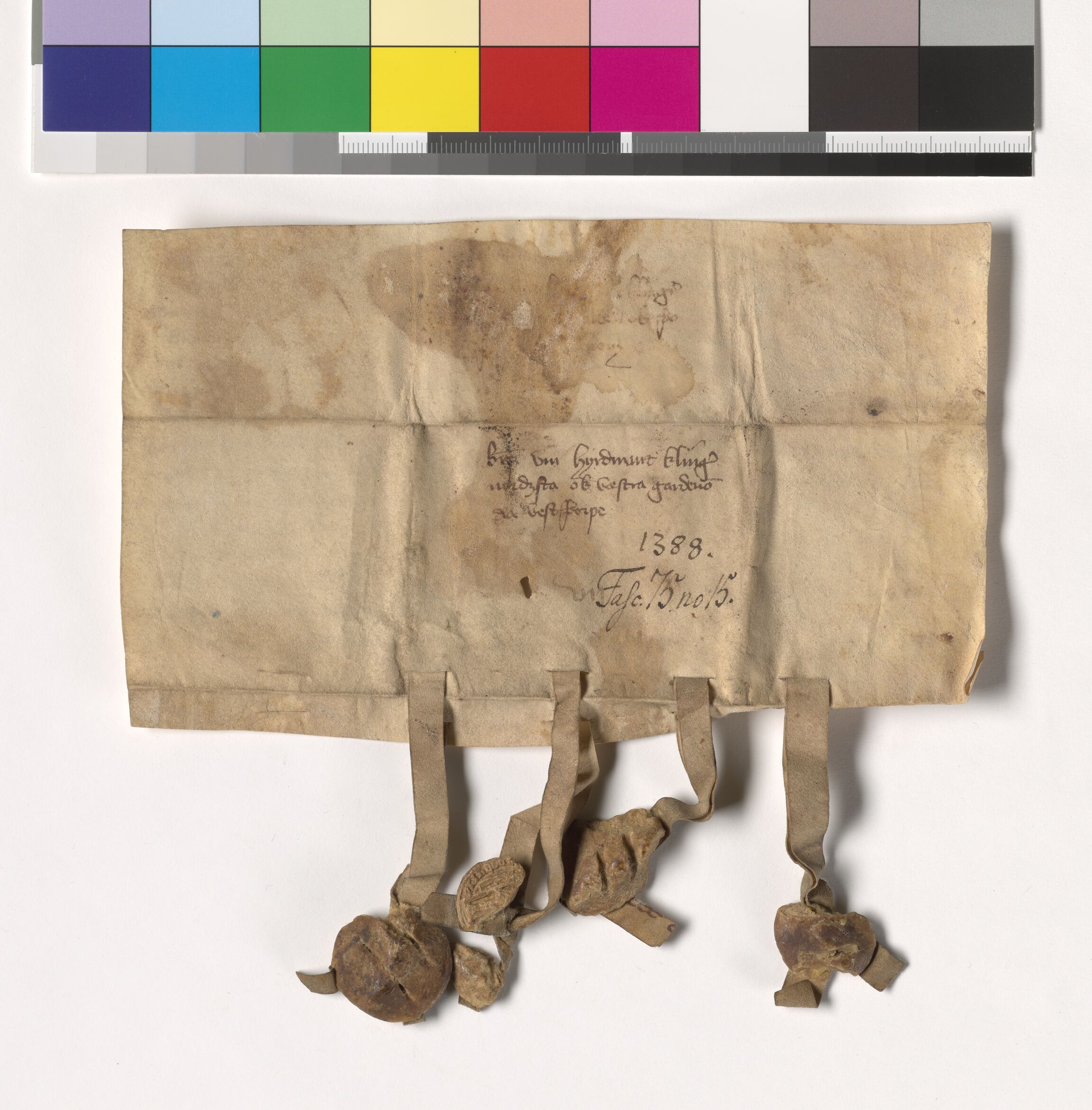 Riksarkivets diplomsamling, AV/RA-EA-5965/F05/L0186: NRA AM fasc. 75 nr. 14-19, 1388, p. 6