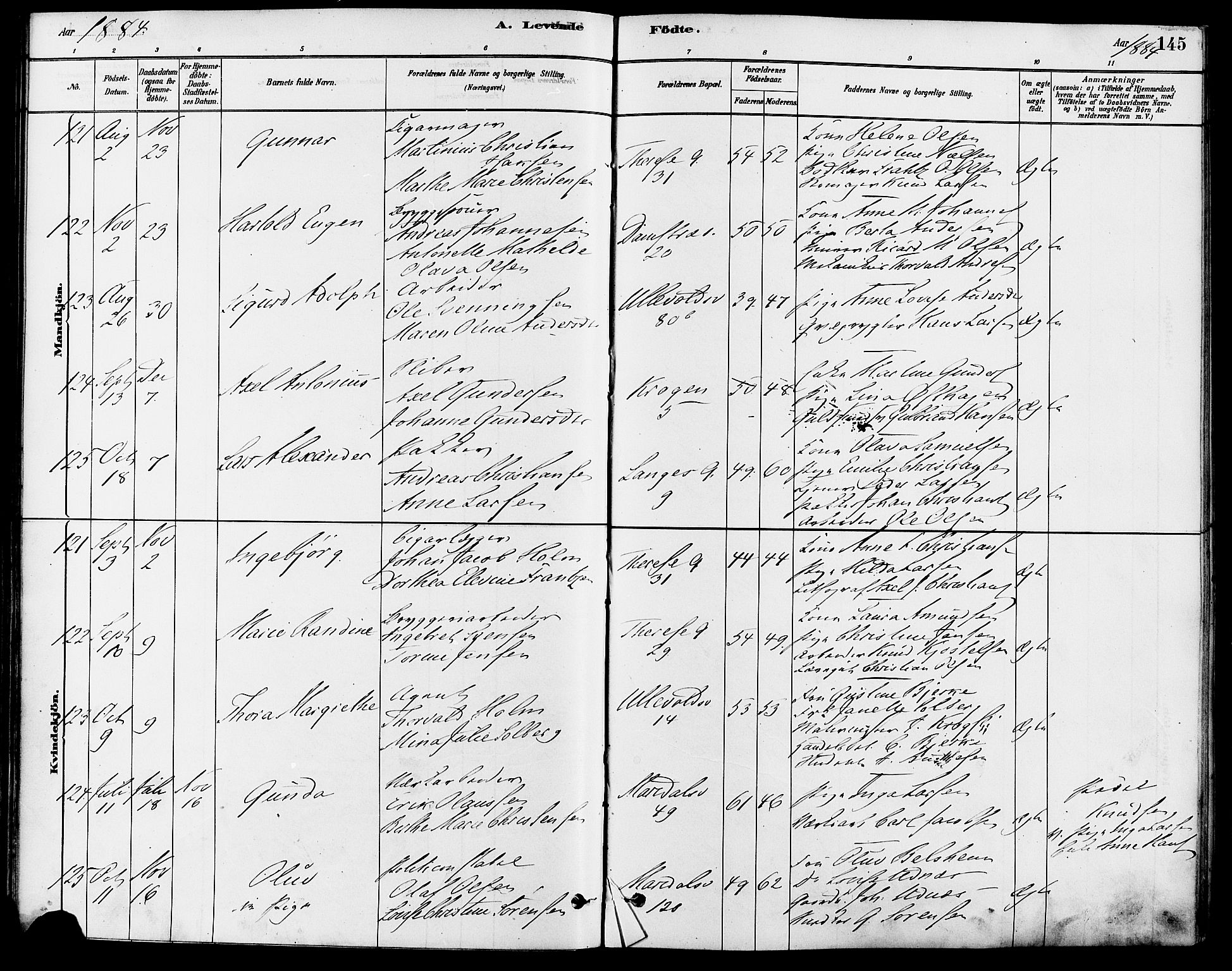 Gamle Aker prestekontor Kirkebøker, AV/SAO-A-10617a/F/L0006: Parish register (official) no. 6, 1880-1887, p. 145