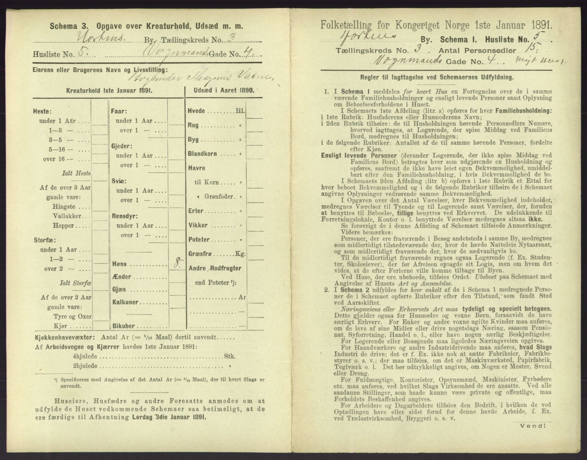 RA, 1891 census for 0703 Horten, 1891, p. 295