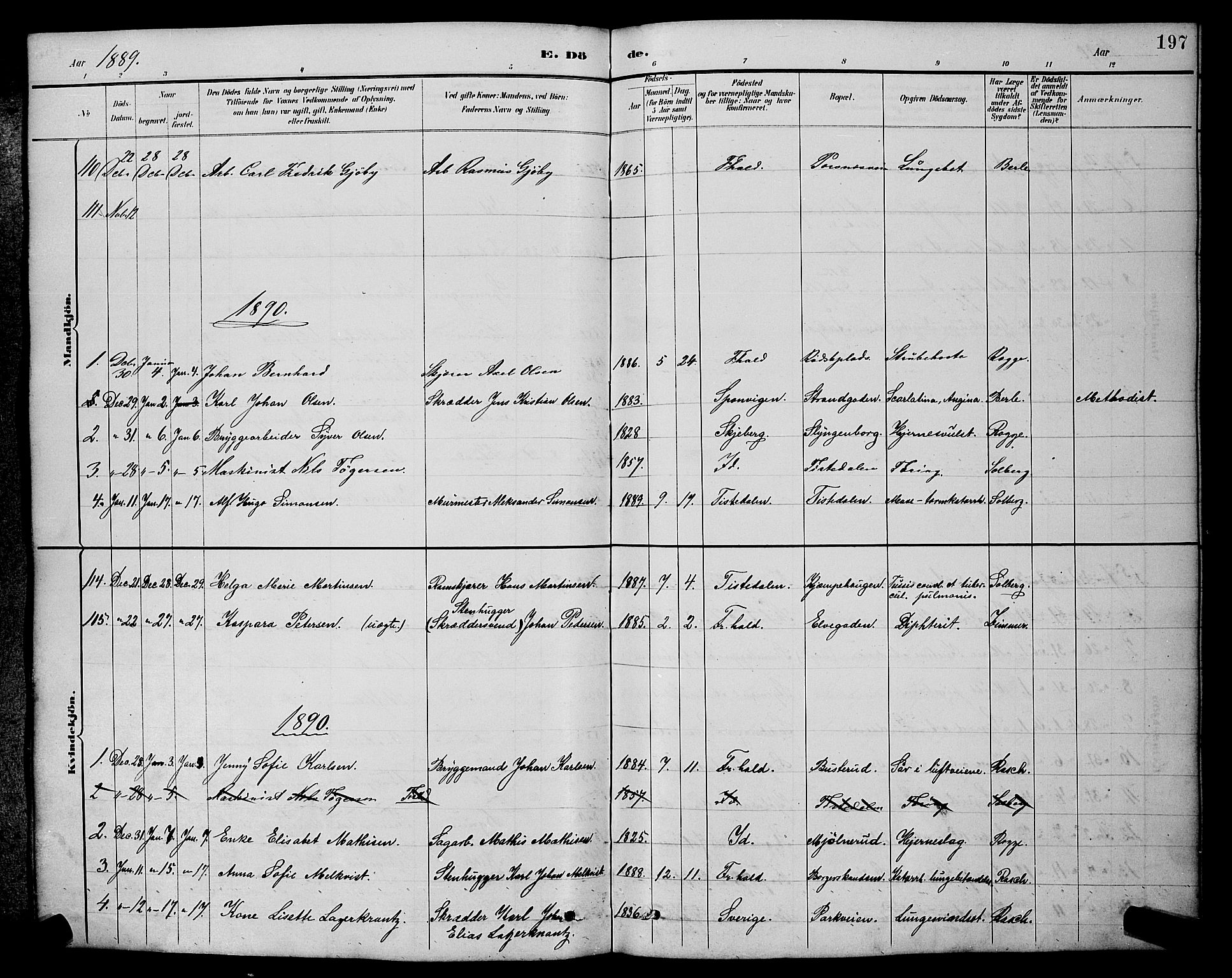 Halden prestekontor Kirkebøker, AV/SAO-A-10909/G/Ga/L0009: Parish register (copy) no. 9, 1885-1908, p. 197