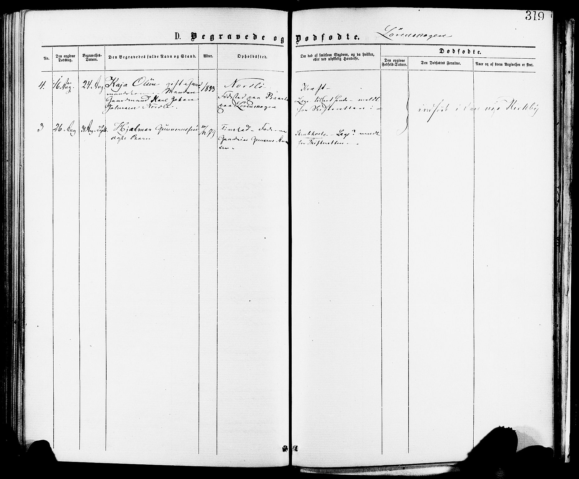 Skedsmo prestekontor Kirkebøker, AV/SAO-A-10033a/F/Fa/L0012: Parish register (official) no. I 12, 1876-1883, p. 319