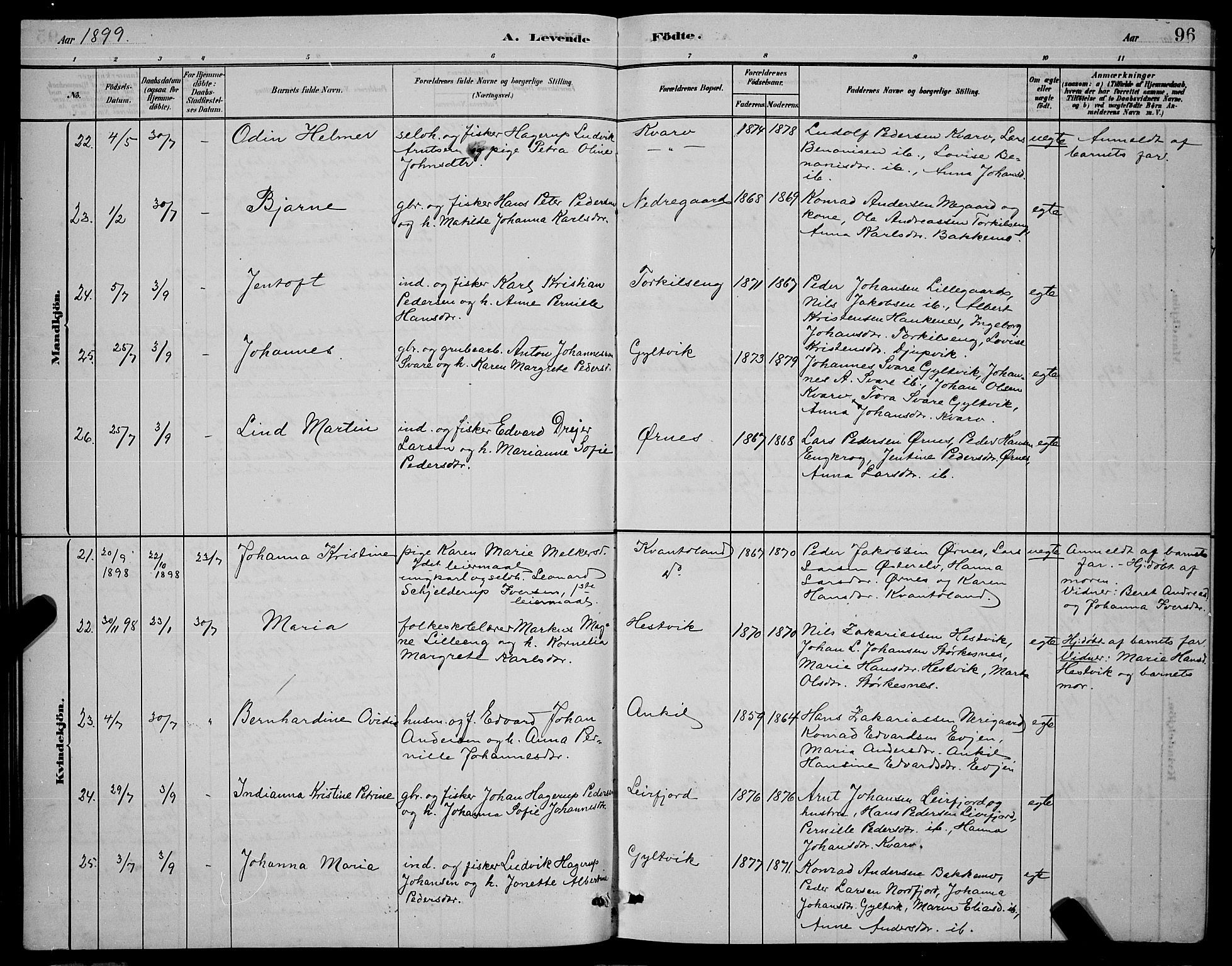 Ministerialprotokoller, klokkerbøker og fødselsregistre - Nordland, AV/SAT-A-1459/853/L0772: Parish register (official) no. 853A11, 1881-1900, p. 96